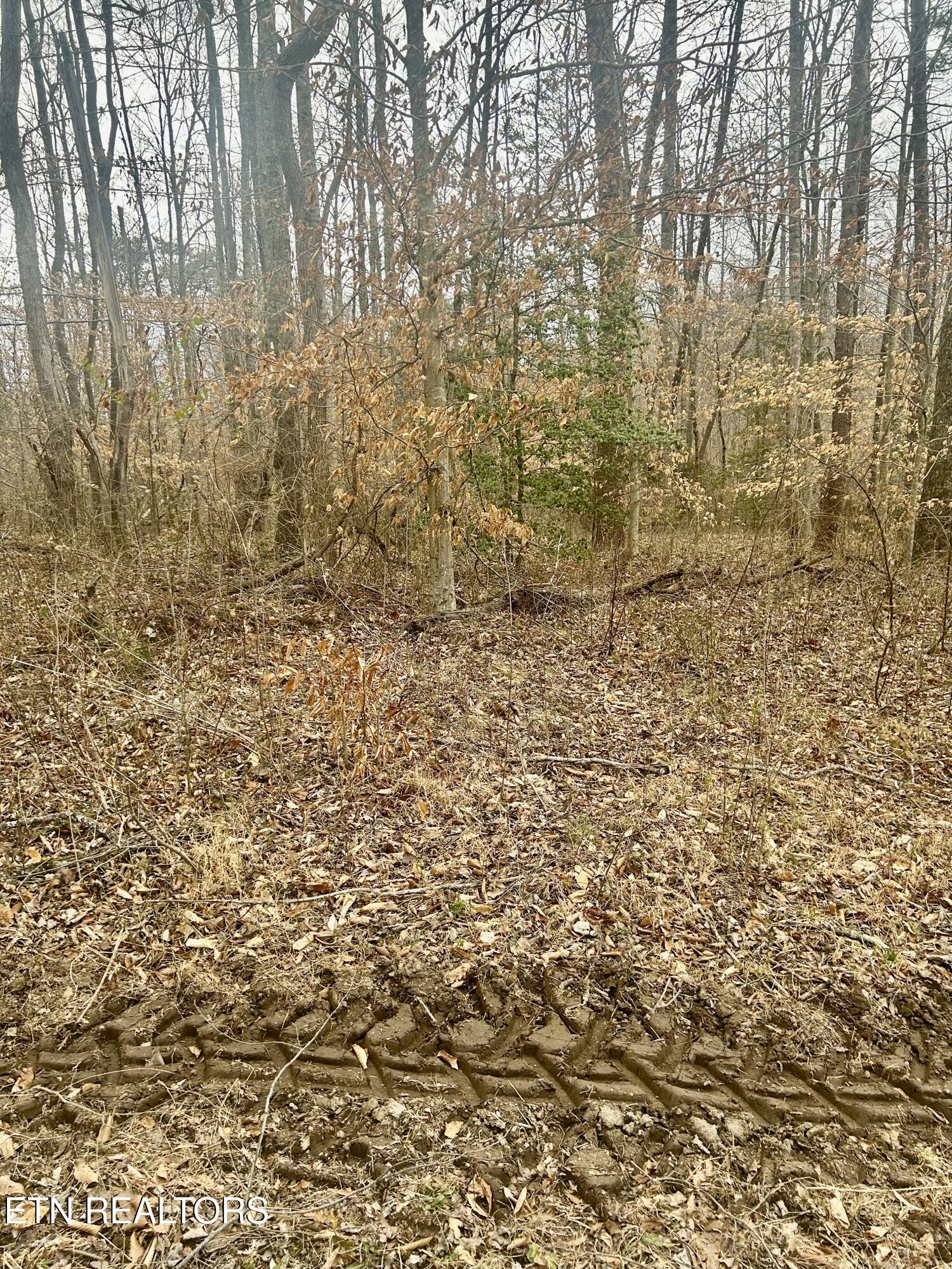 River Road Jacksboro, TN 37757 - Photo 22 of 34 River Rd Pic 20