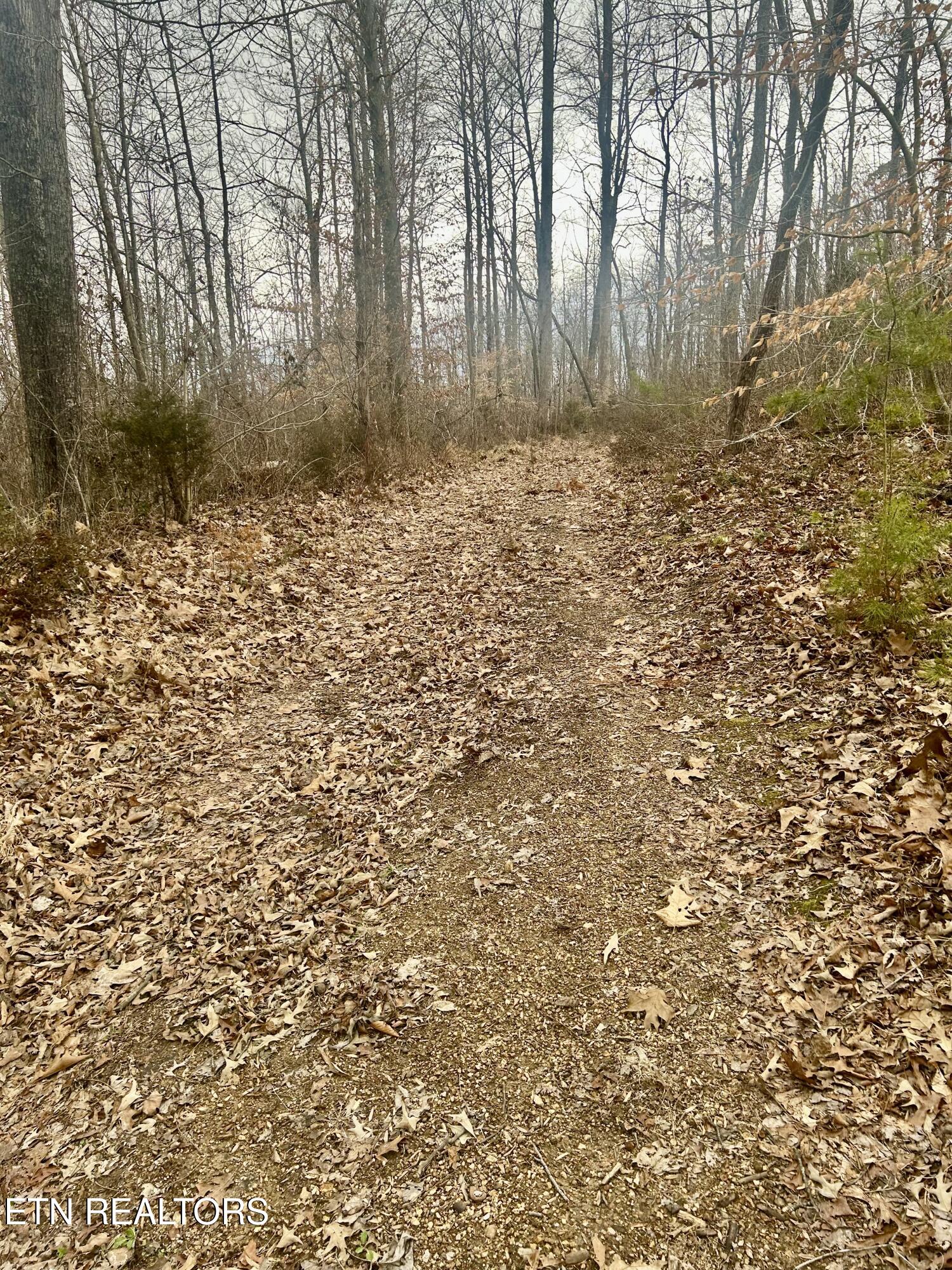 River Road Jacksboro, TN 37757 - Photo 23 of 34 River Rd pic 21