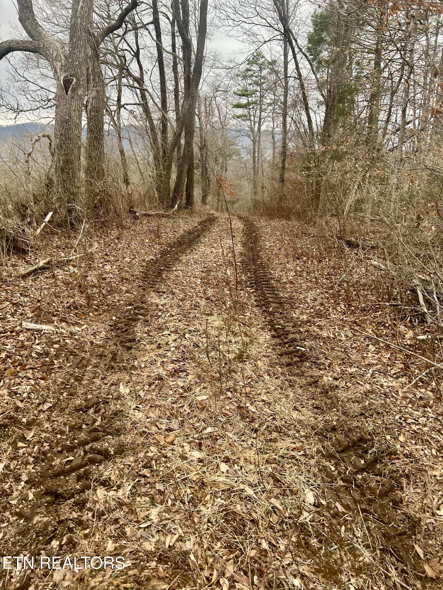 River Road Jacksboro, TN 37757 - Photo 24 of 34 River Rd Pic 22