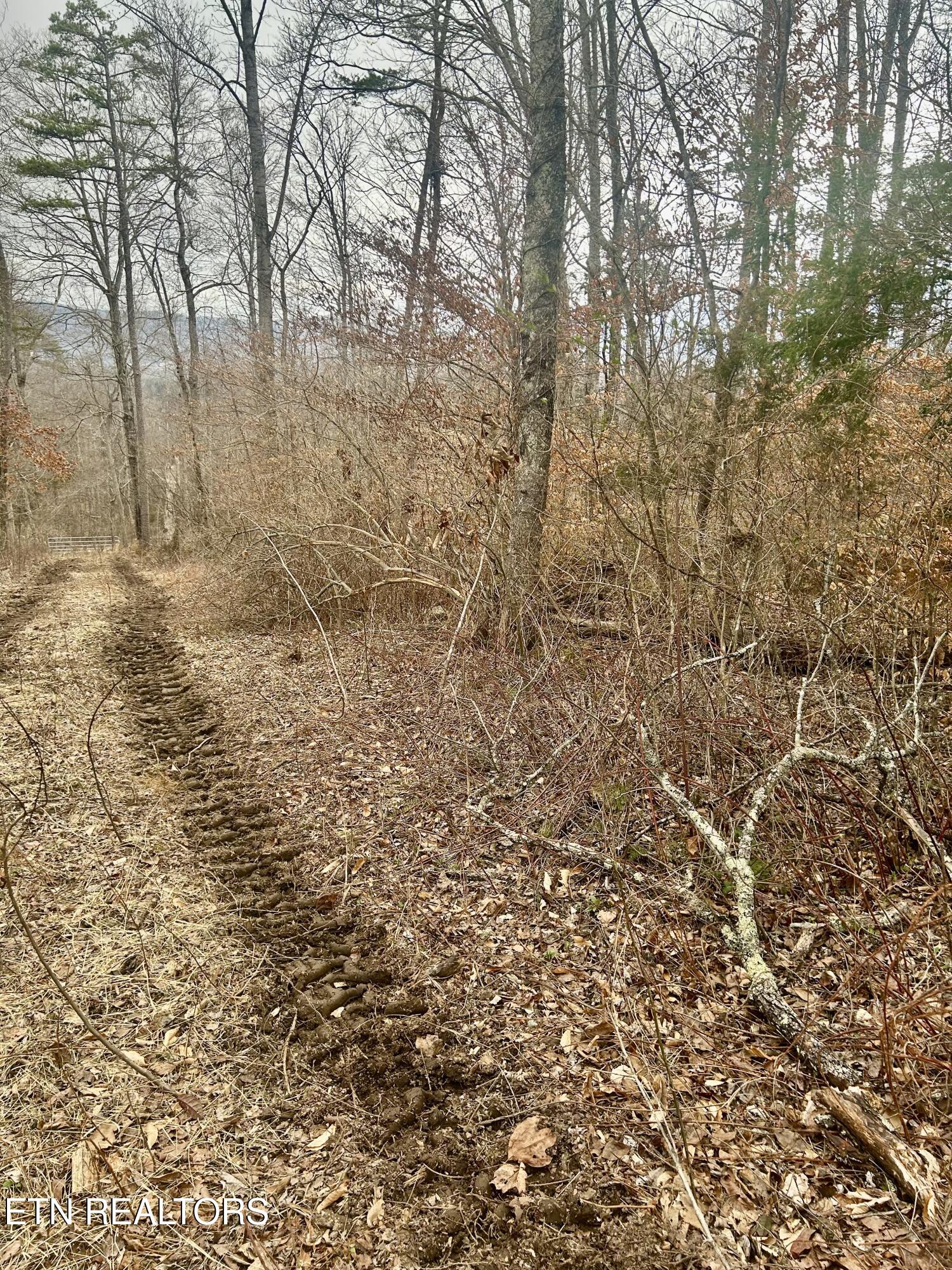 River Road Jacksboro, TN 37757 - Photo 25 of 34 River Rd Pic 23