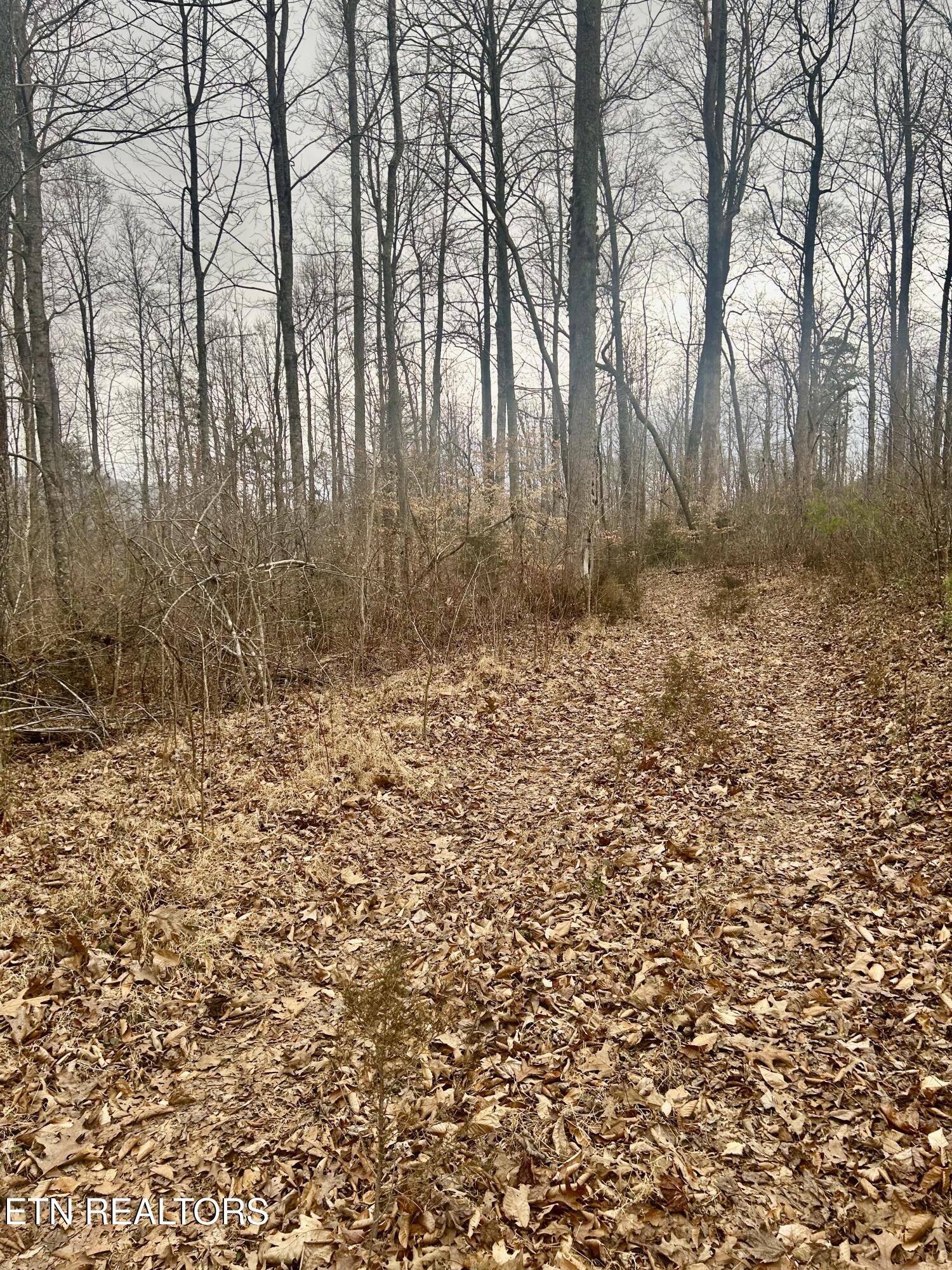 River Road Jacksboro, TN 37757 - Photo 27 of 34 river rd pic 25