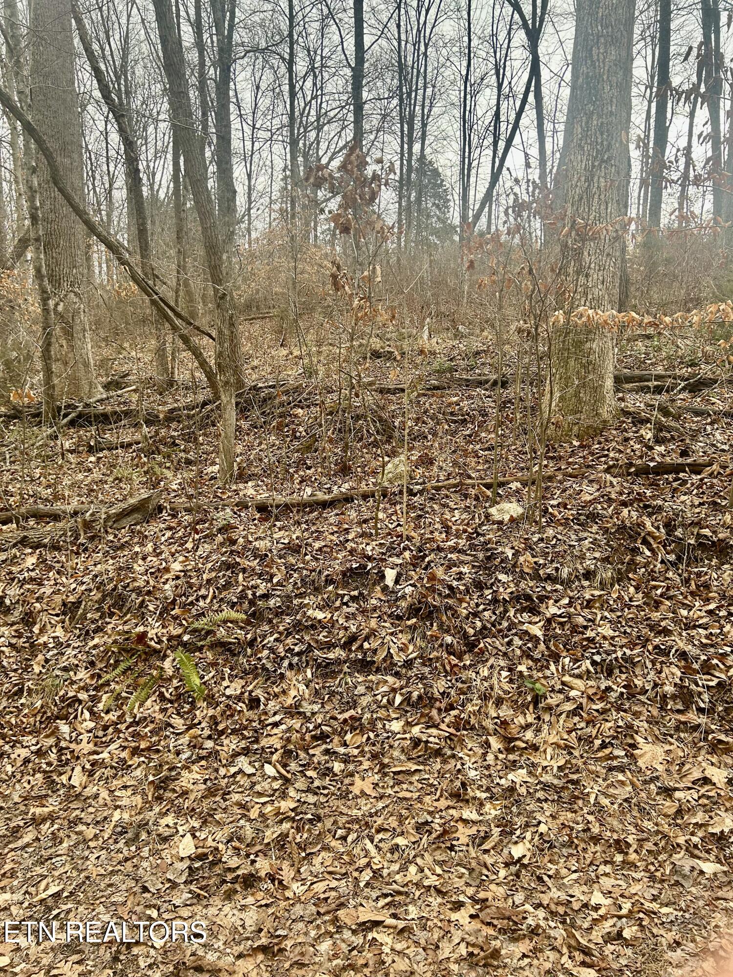 River Road Jacksboro, TN 37757 - Photo 29 of 34 River Rd pic 27