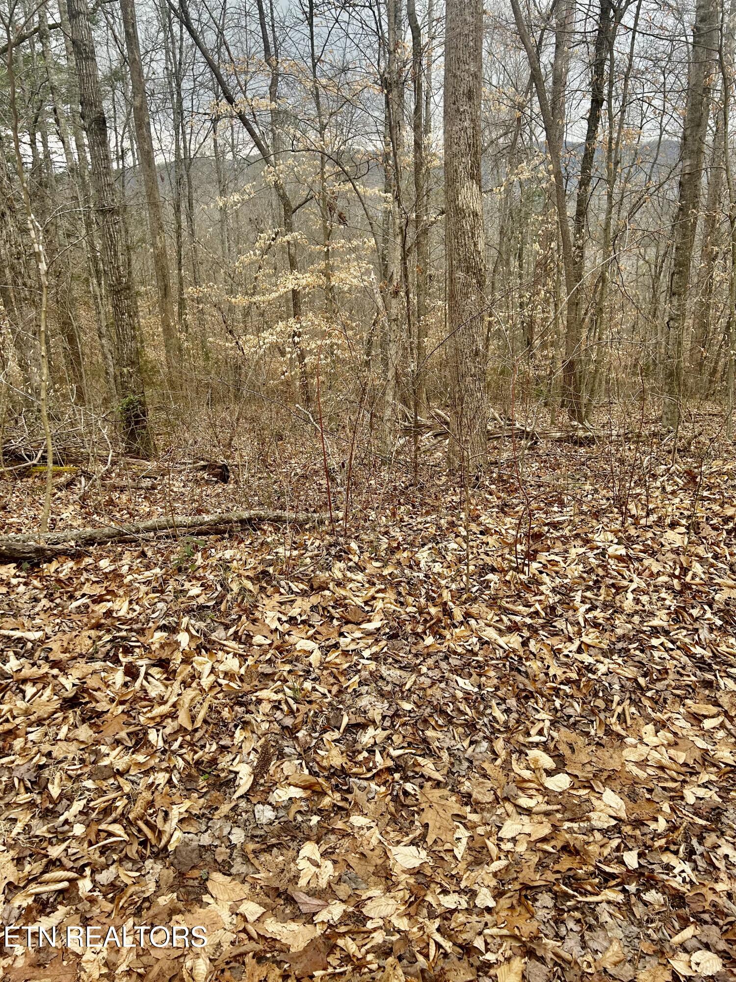 River Road Jacksboro, TN 37757 - Photo 30 of 34 River rd Pic 29