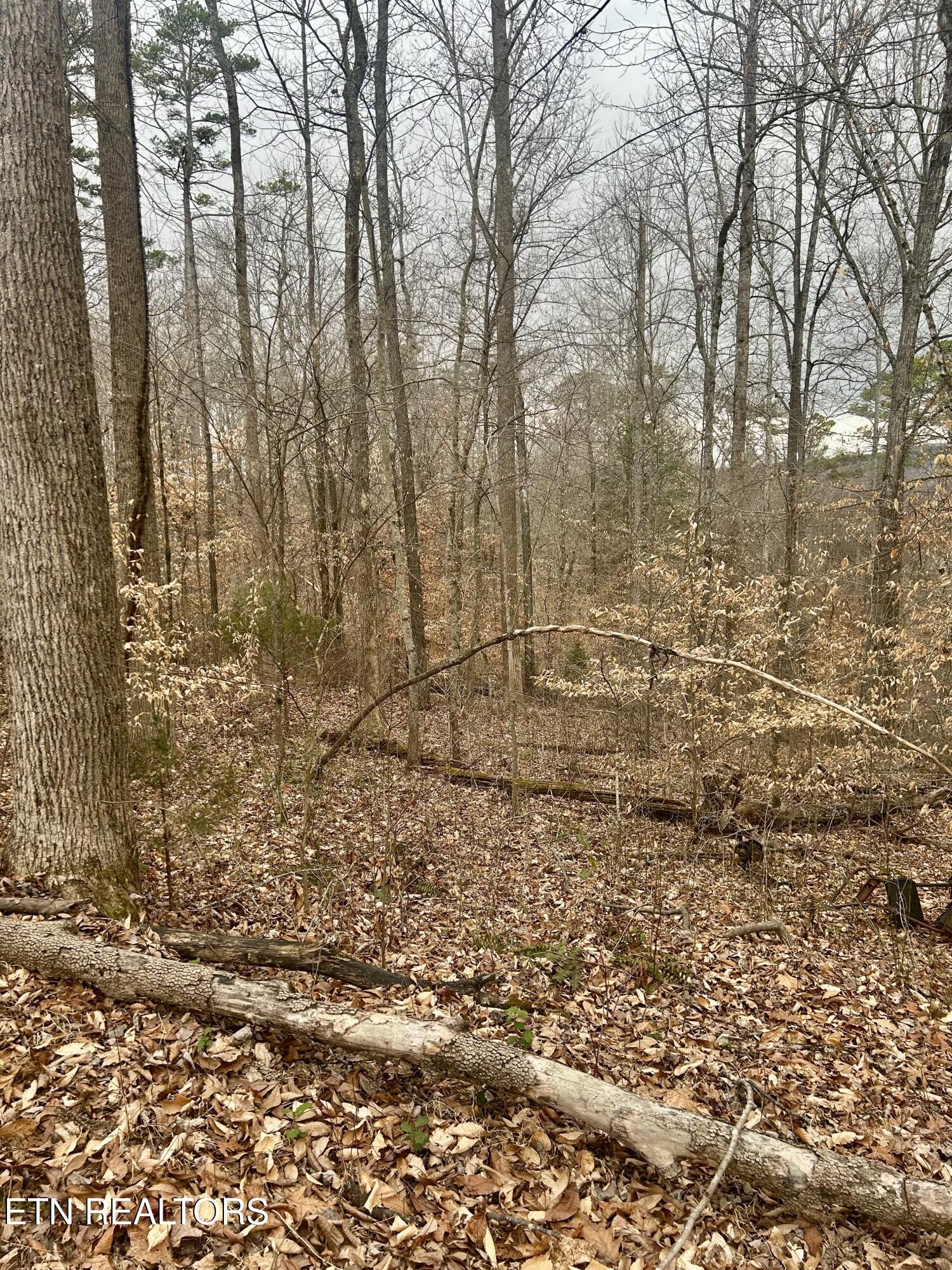 River Road Jacksboro, TN 37757 - Photo 31 of 34 River Rd Pic 30