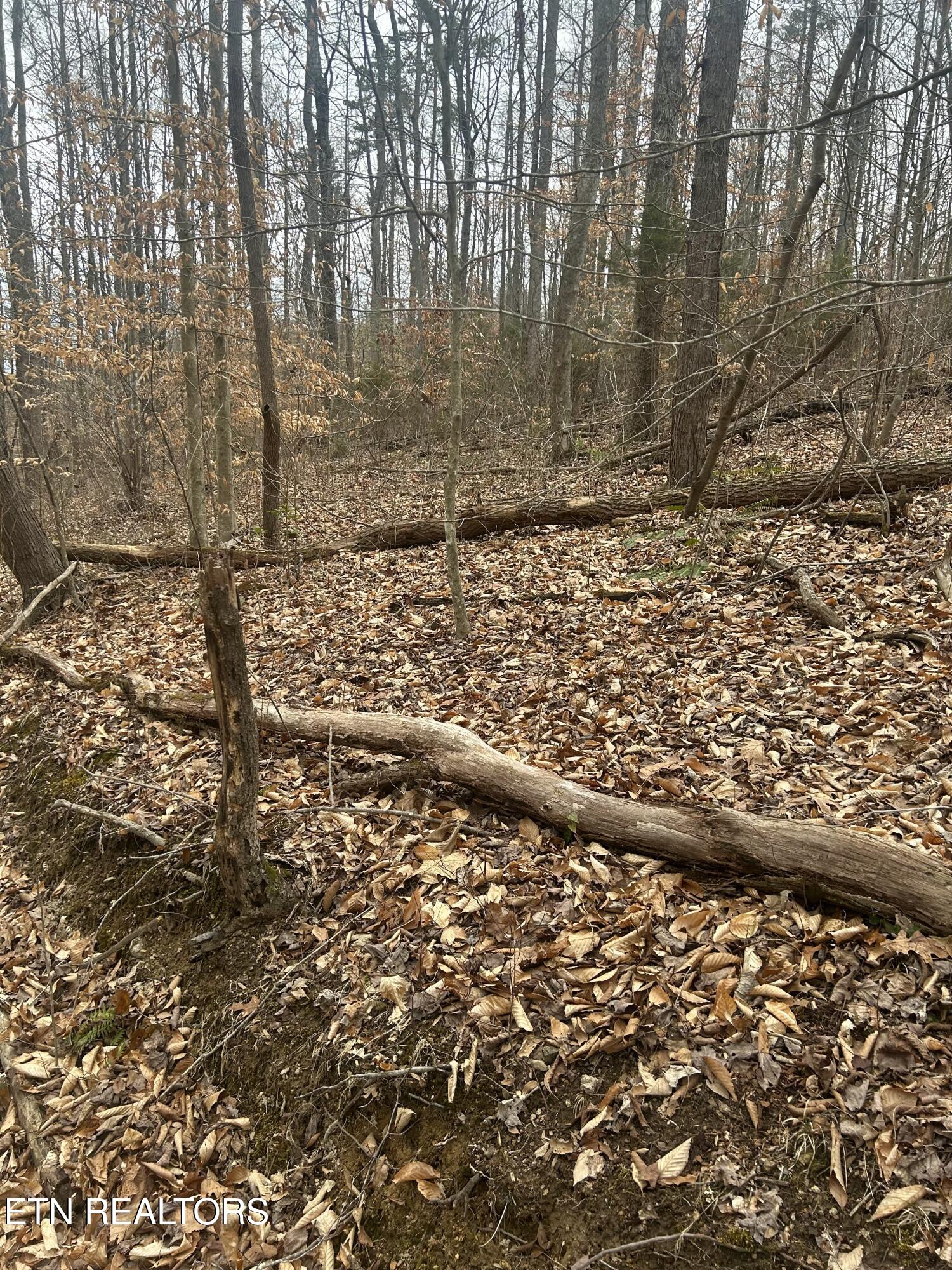 River Road Jacksboro, TN 37757 - Photo 32 of 34 River Rd pic 31