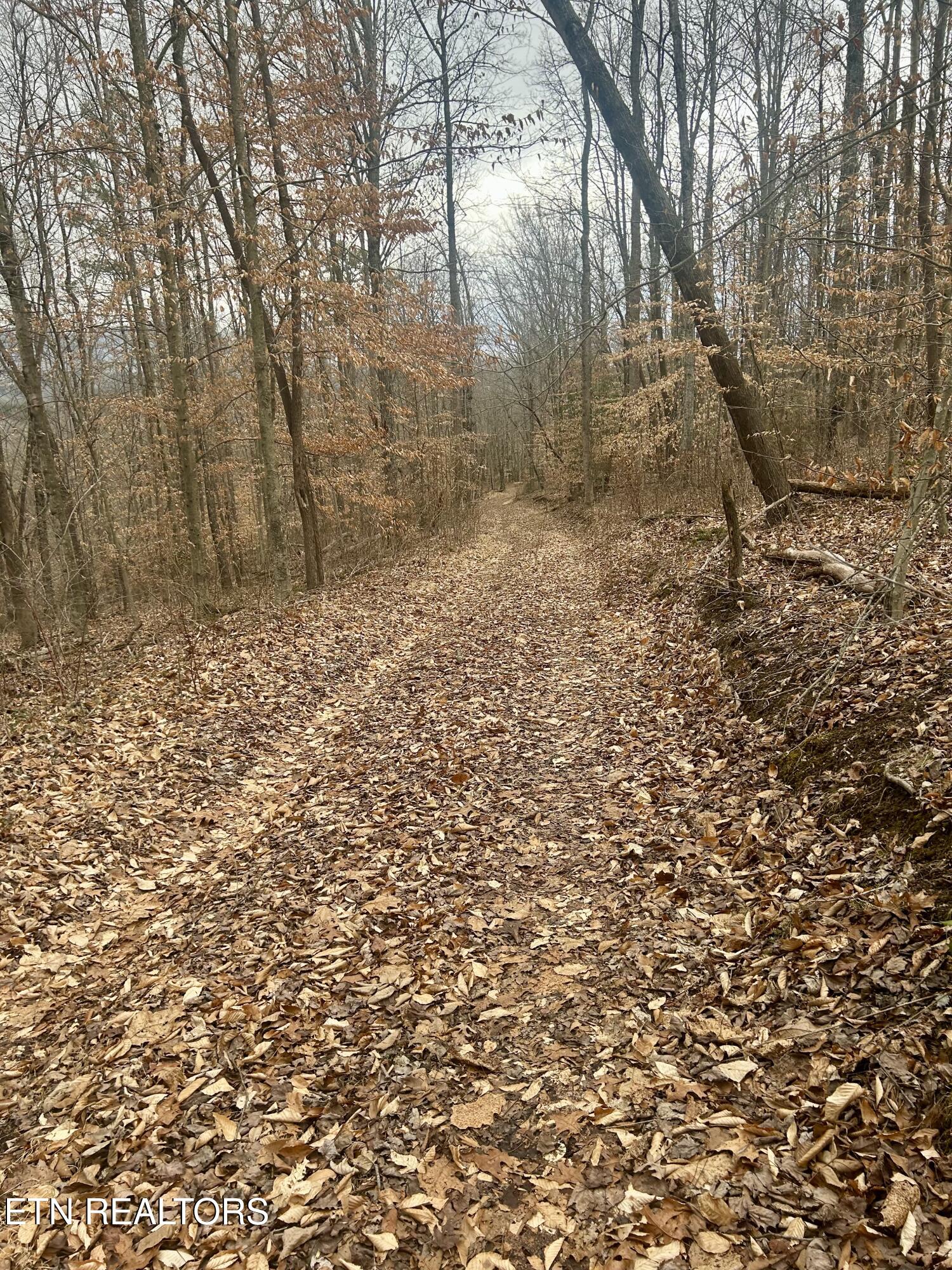 River Road Jacksboro, TN 37757 - Photo 33 of 34 river Rd Pick 28