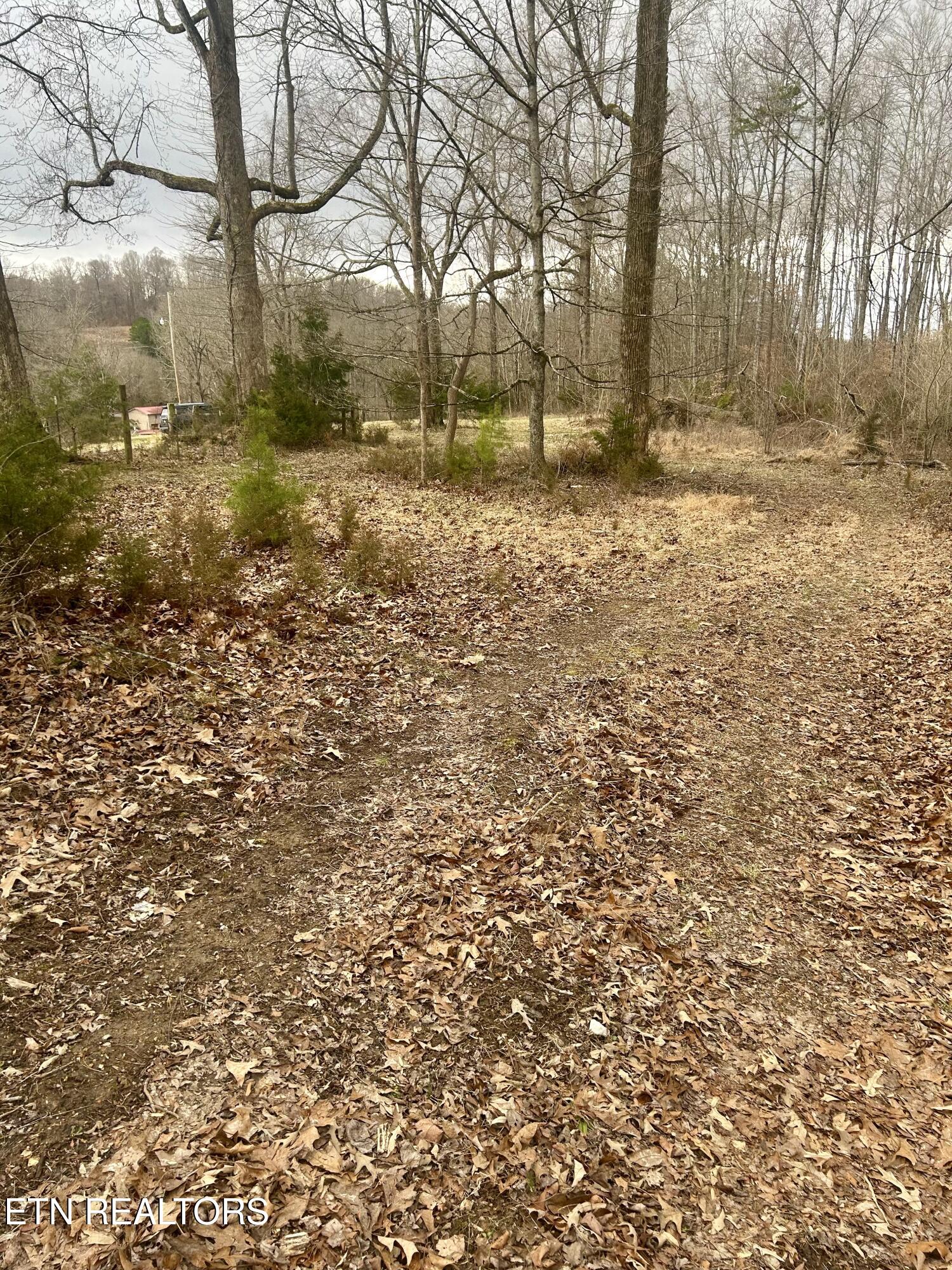 River Road Jacksboro, TN 37757 - Photo 34 of 34 River Rd pic 35