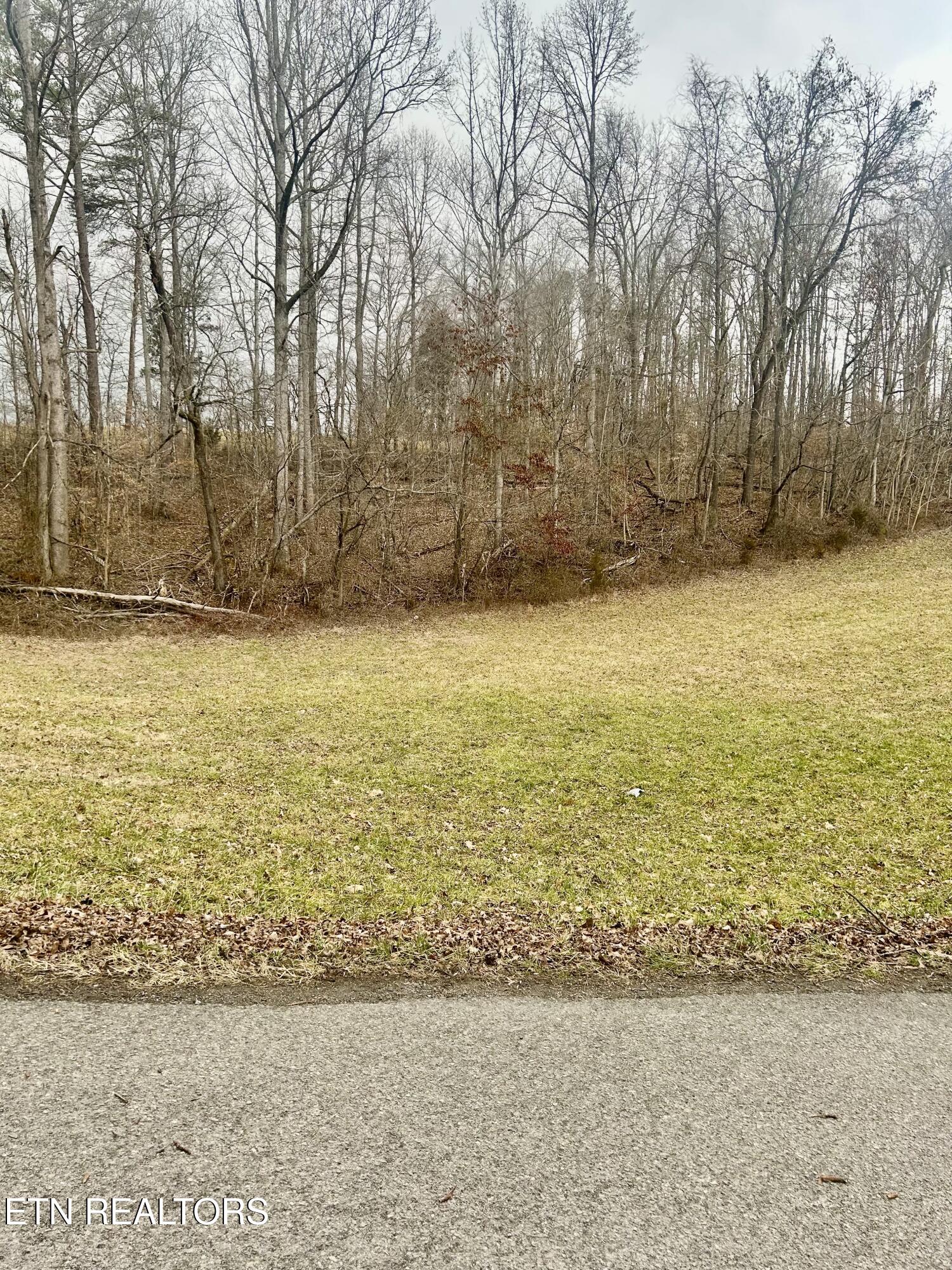 River Road Jacksboro, TN 37757 - Photo 4 of 34 River Rd Pic 2