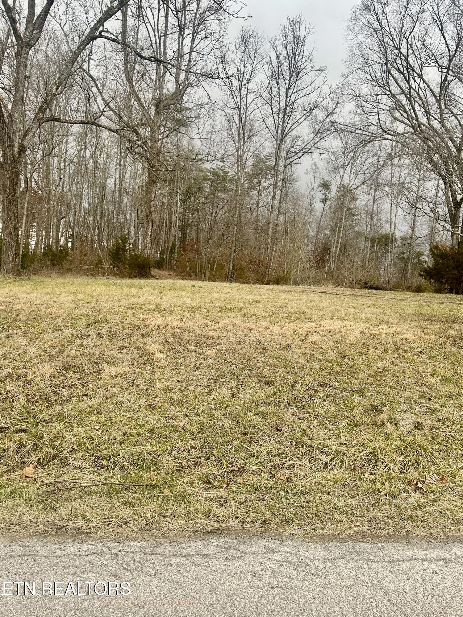 River Road Jacksboro, TN 37757 - Photo 5 of 34 river rd pic 3