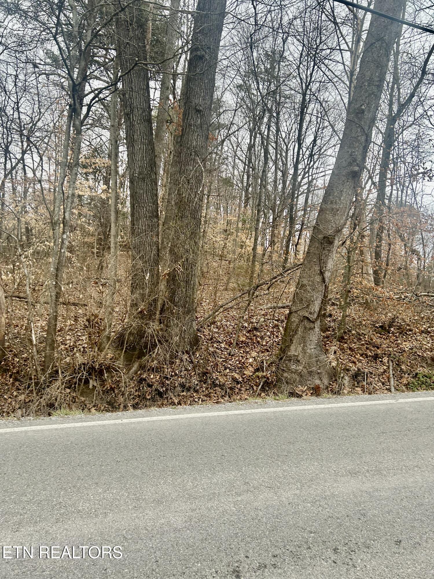 River Road Jacksboro, TN 37757 - Photo 6 of 34 river rd pic 4