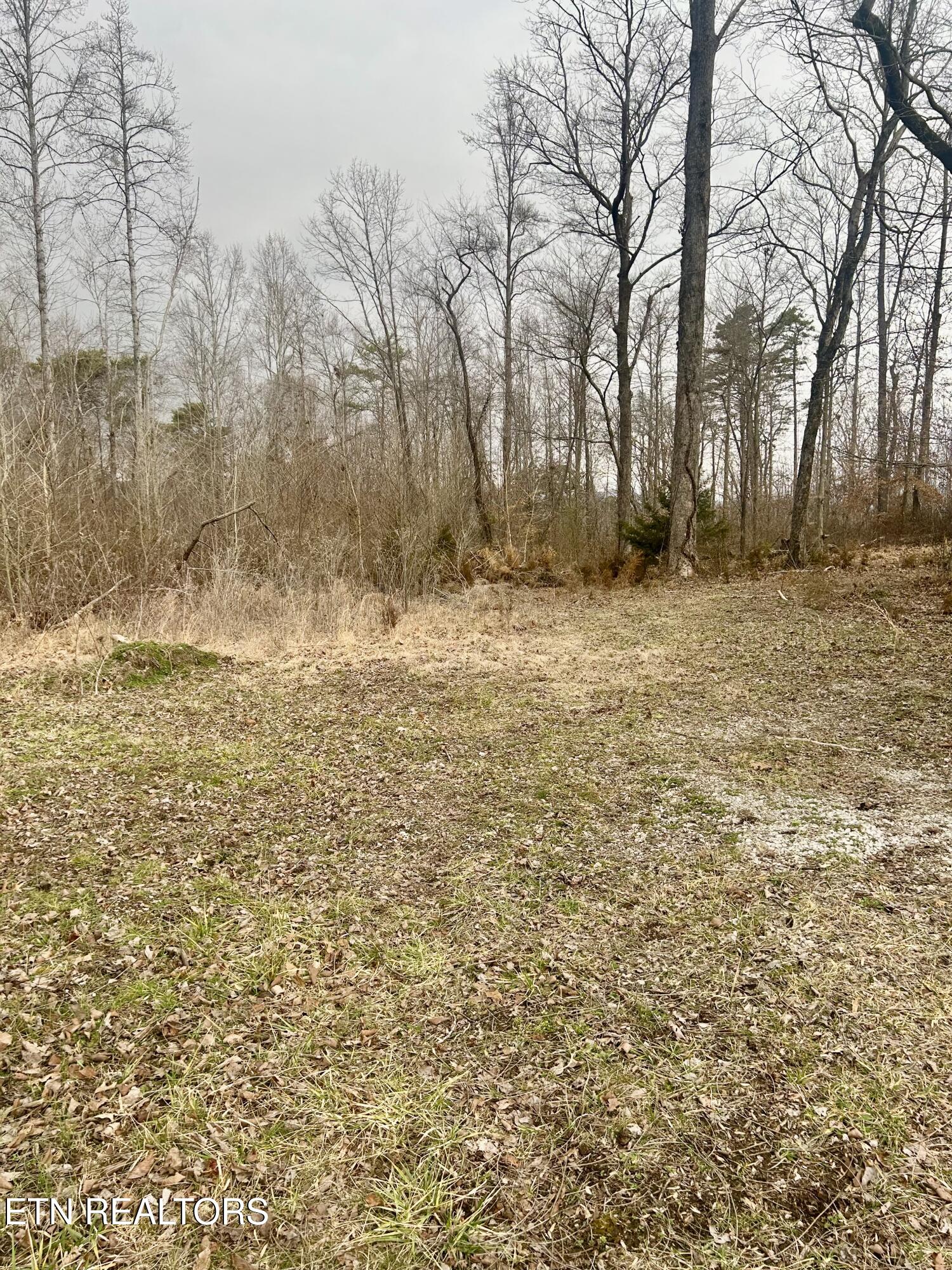 River Road Jacksboro, TN 37757 - Photo 9 of 34 river rd pic 5