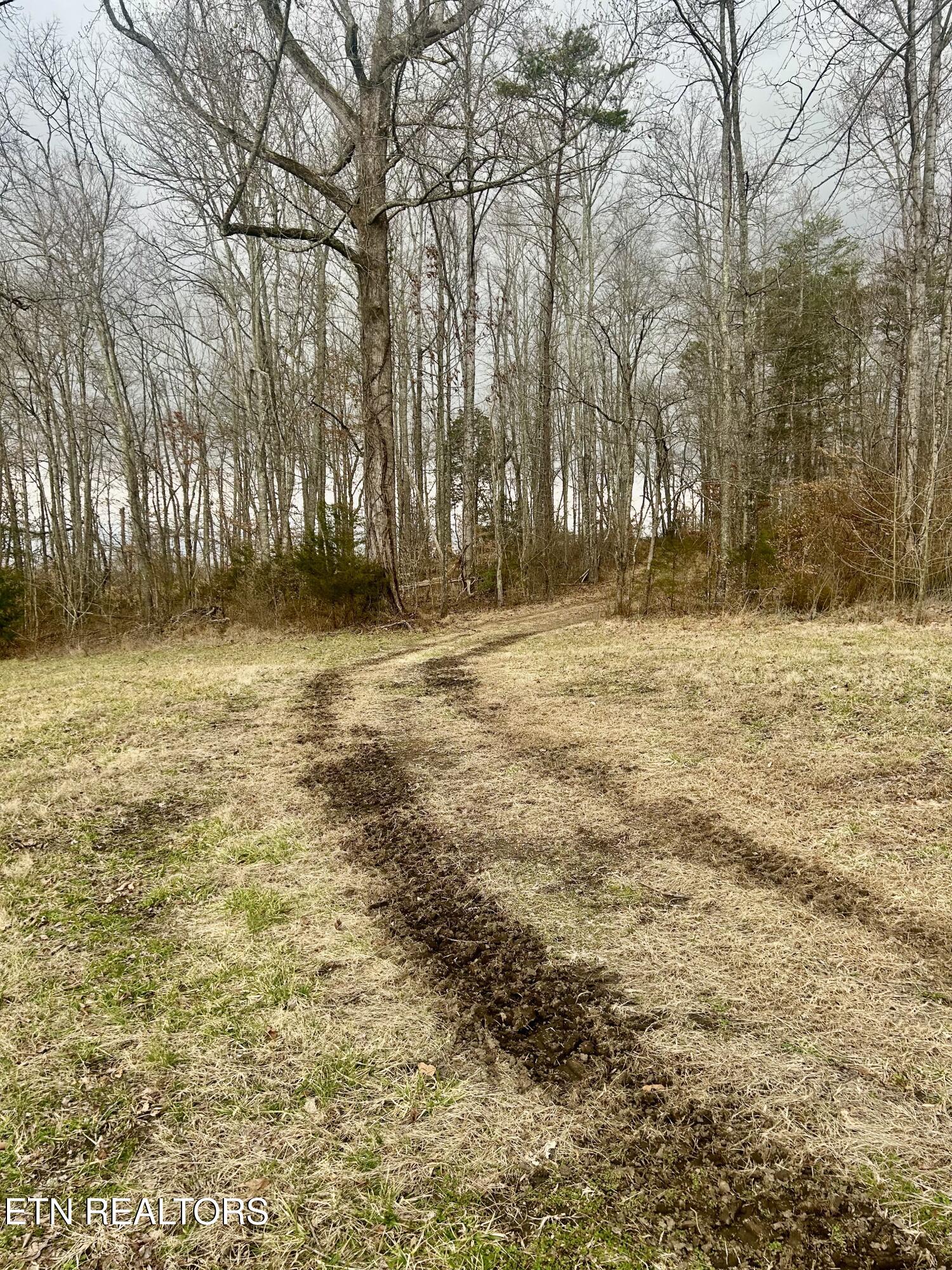 River Road Jacksboro, TN 37757 - Photo 10 of 34 River Rd pic 6