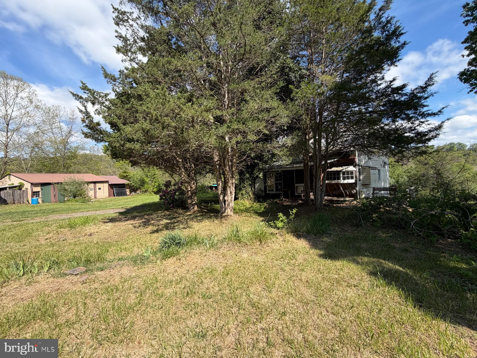 986 Rushing River Road Augusta, WV 26704 - Photo 6 of 56 Charming retreat amidst lush greenery.