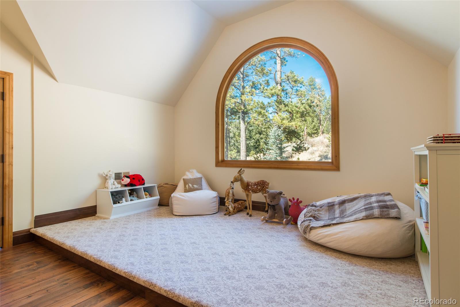 3731 Overlook Trail Evergreen, CO 80439 - Photo 24 of 35