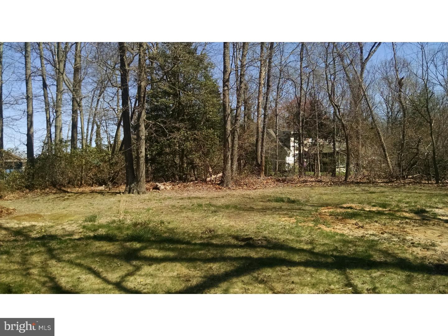 904 Centerton Road Pittsgrove, NJ 08318 - Photo 3 of 16 Back Yard