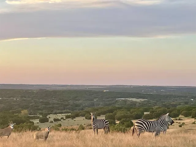 $9,500,000 | 6101 Cr 208 Lampasas Tx 76550, Lampasas, TX 76550