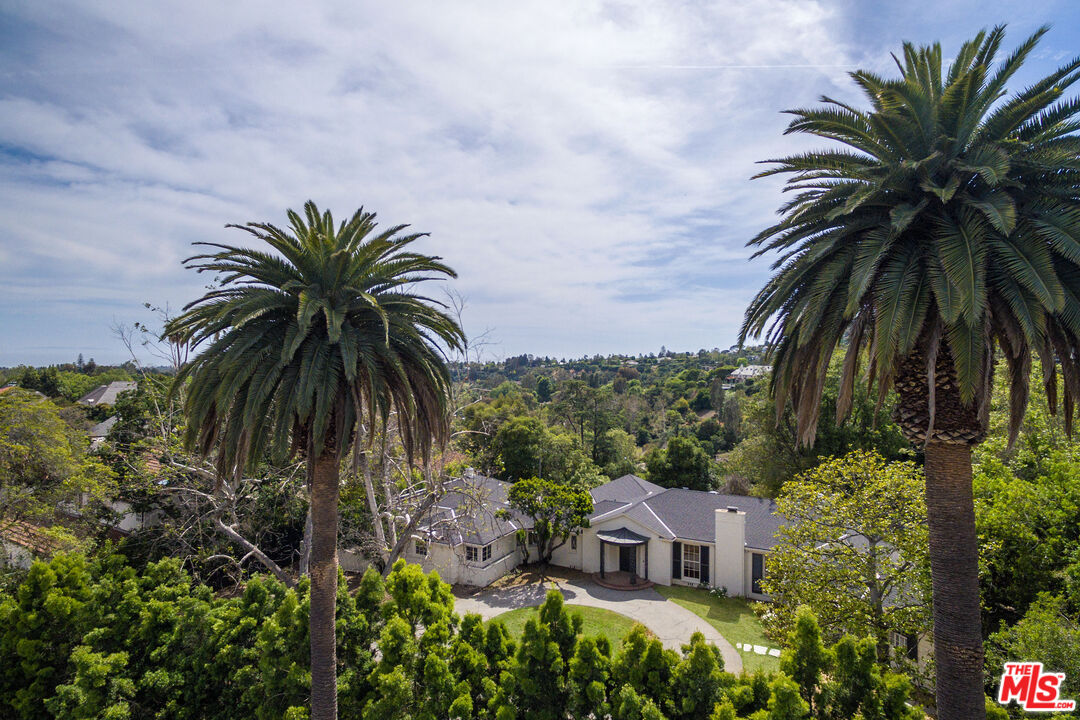 7 Oakmont Drive Los Angeles, CA 90049 - Photo 11 of 14 a view of a palm trees in front of a house