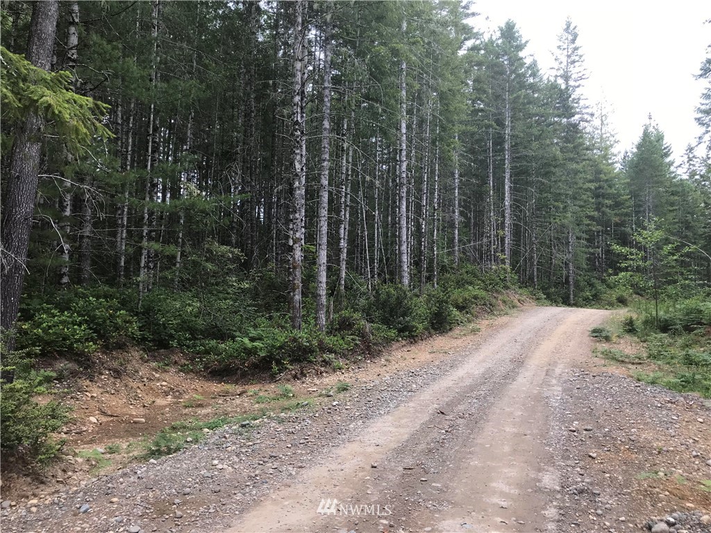 413 Northeast Dewatto Hills Road Tahuya, WA 98588 - Photo 1 of 2 Gallery Image 1