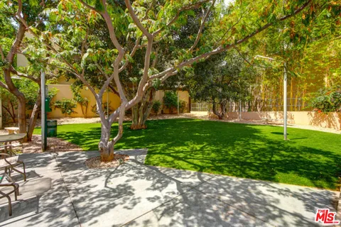 a view of a park with tree s