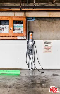 a table with a potted plant on it