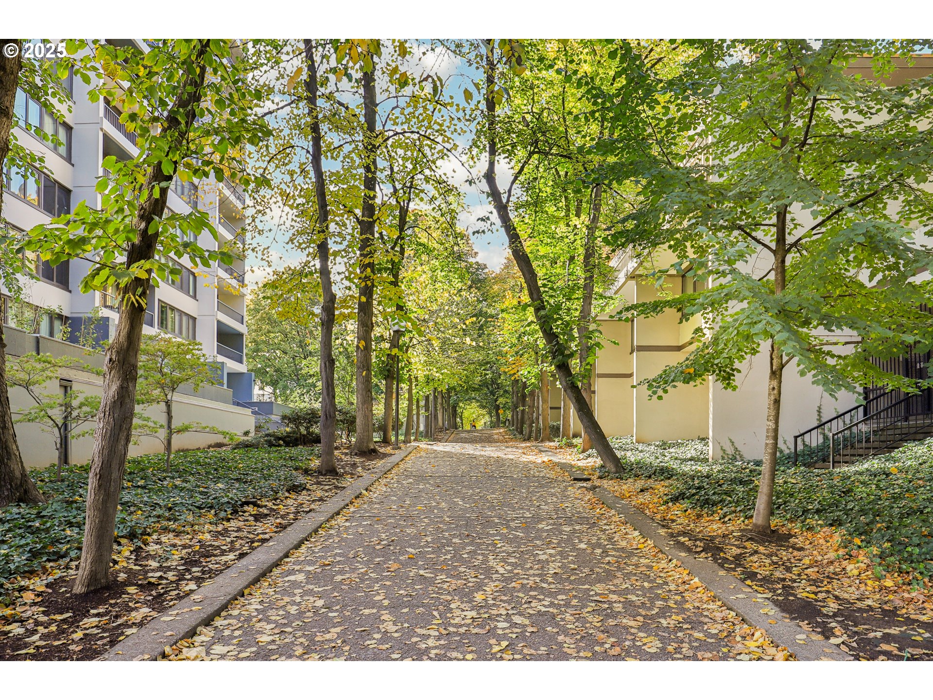 255 Southwest Harrison Street, Unit 6E Portland, OR 97201 - Photo 20 of 23 Gallery Image 20