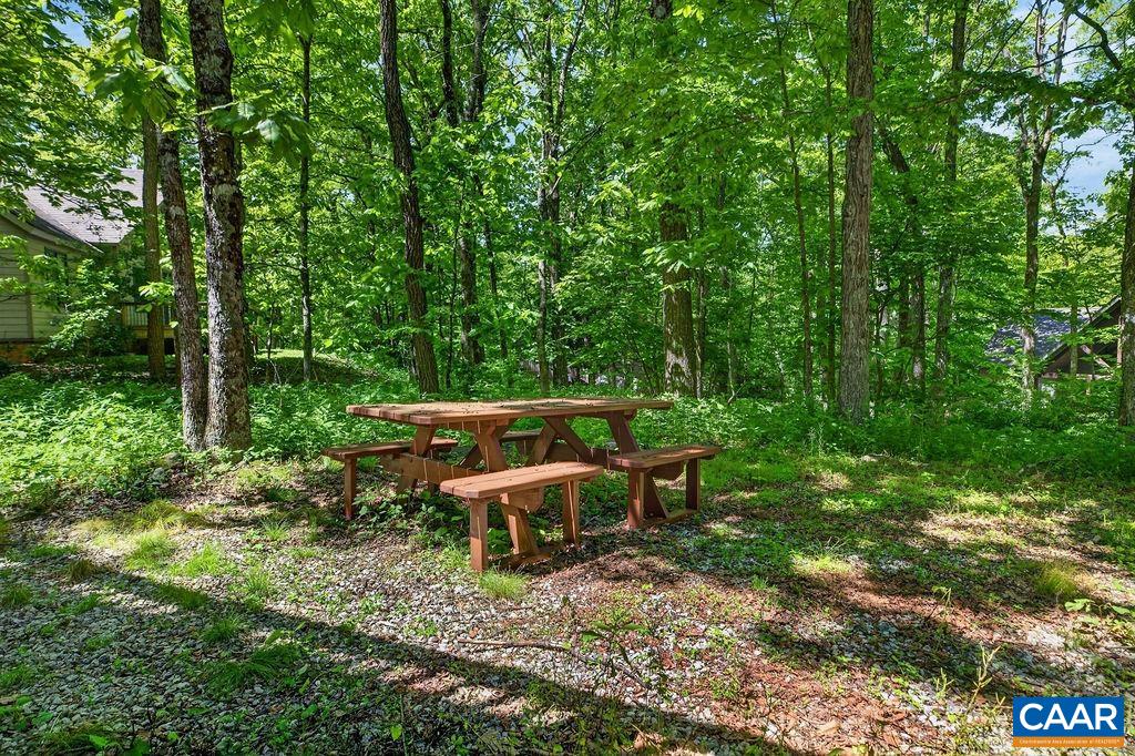 308 Devils Knob Loop Wintergreen, VA 22967 - Photo 46 of 48