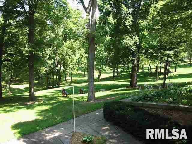 9317 Springhill Road Erie, IL 61250 - Photo 7 of 7