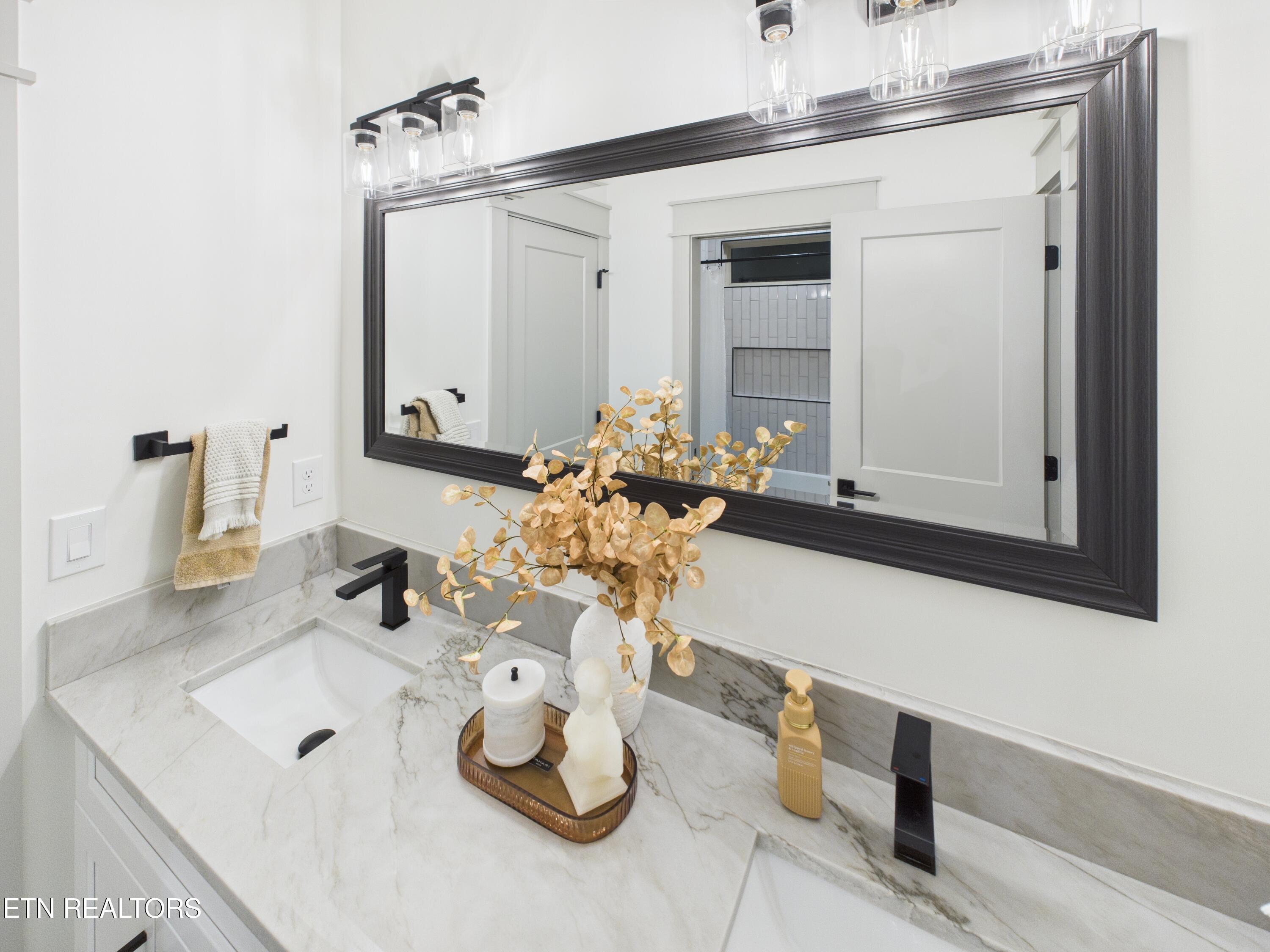 205 Chogi Lane Loudon, TN 37774 - Photo 11 of 39 10