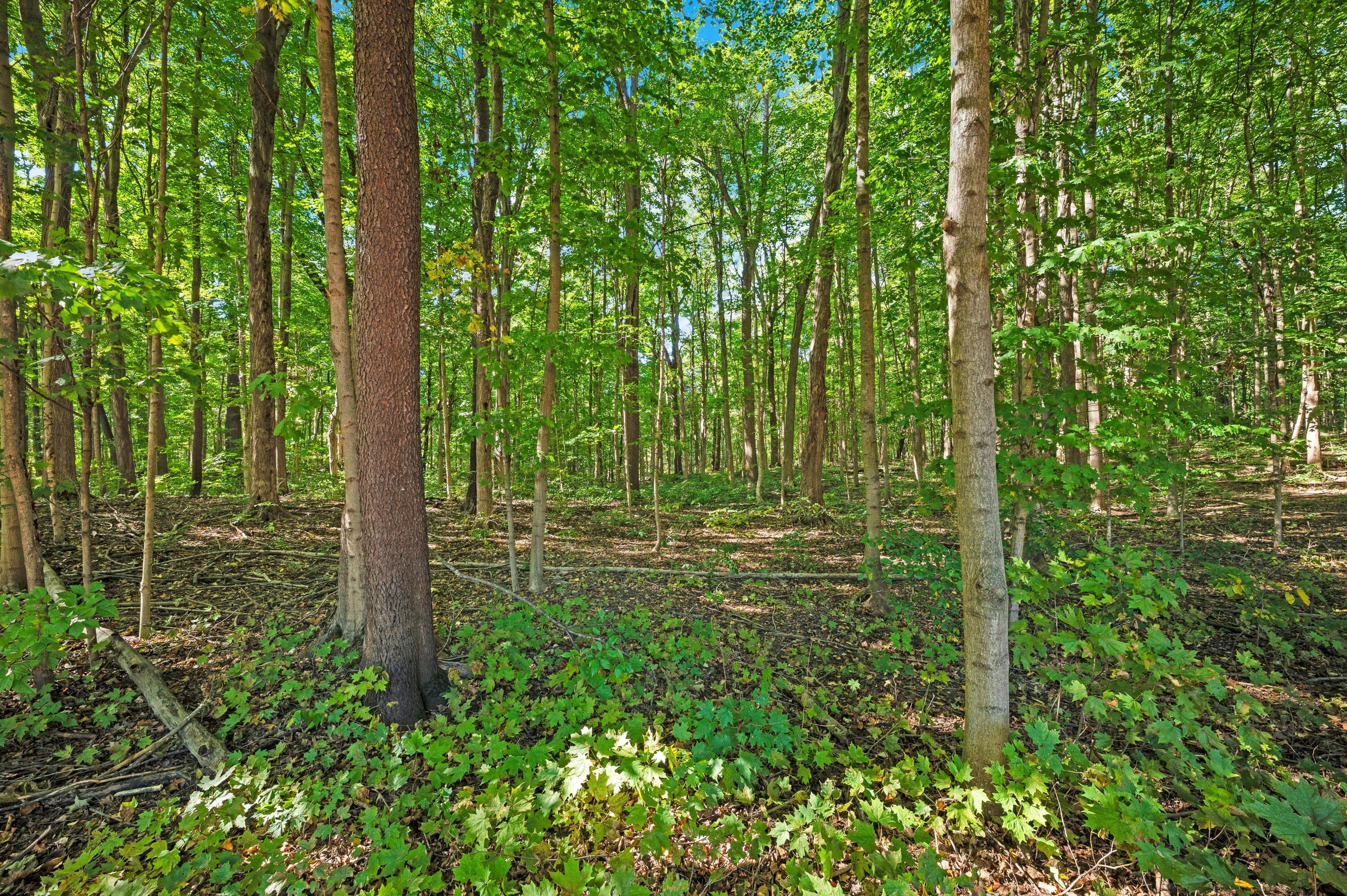 620 Warren Woods Road Galien, MI 49113 - Photo 11 of 71 a65