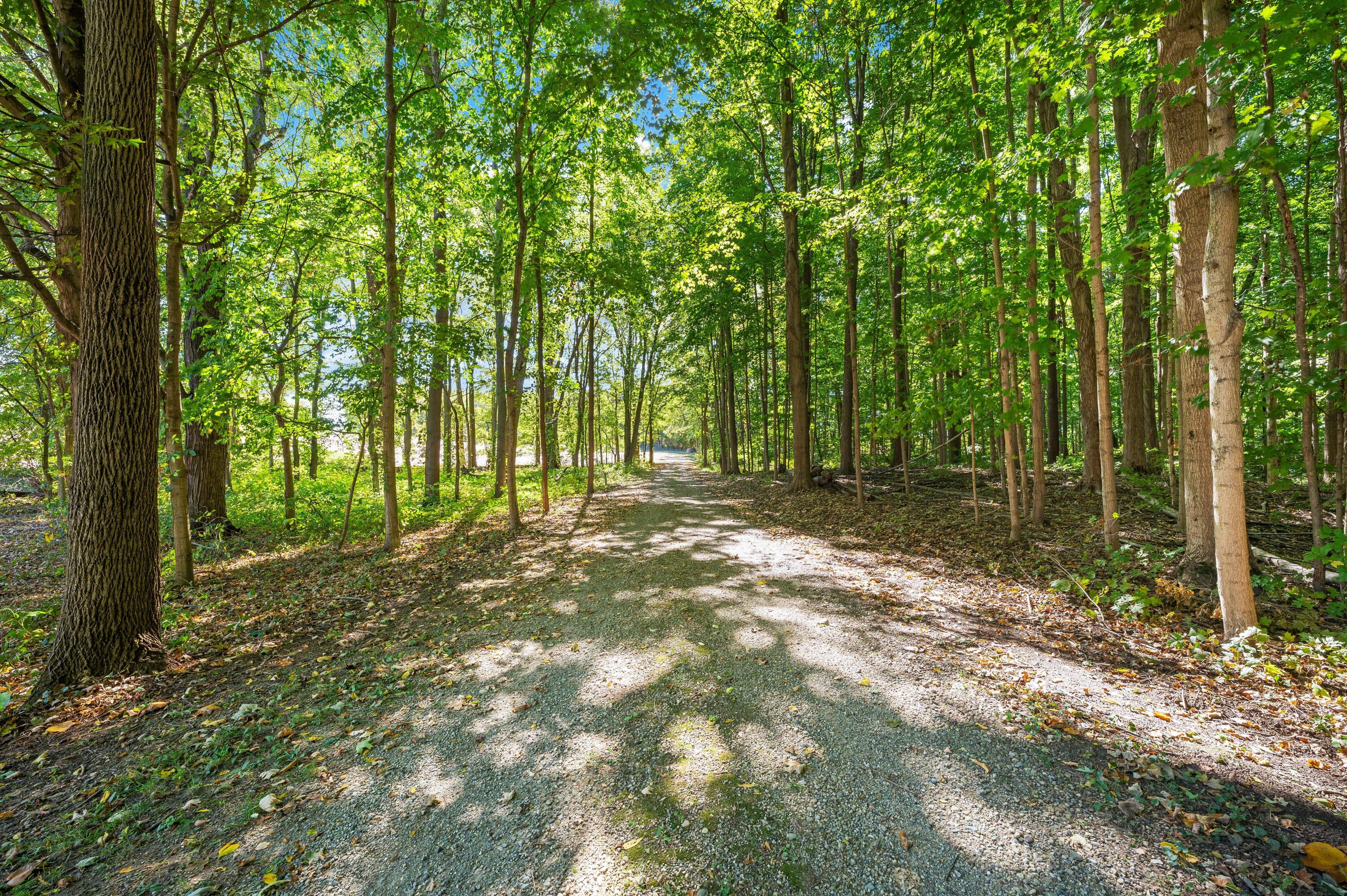 620 Warren Woods Road Galien, MI 49113 - Photo 52 of 71 a64