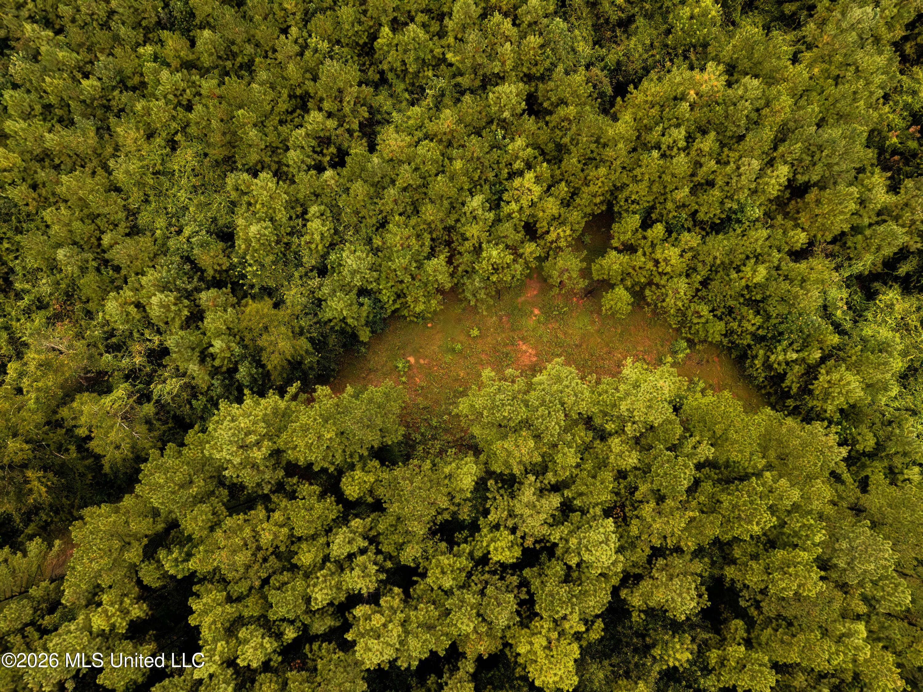 Lawrence Hazel Road Newton, MS 39345 - Photo 8 of 11 DJI_20260827113156_0001_D