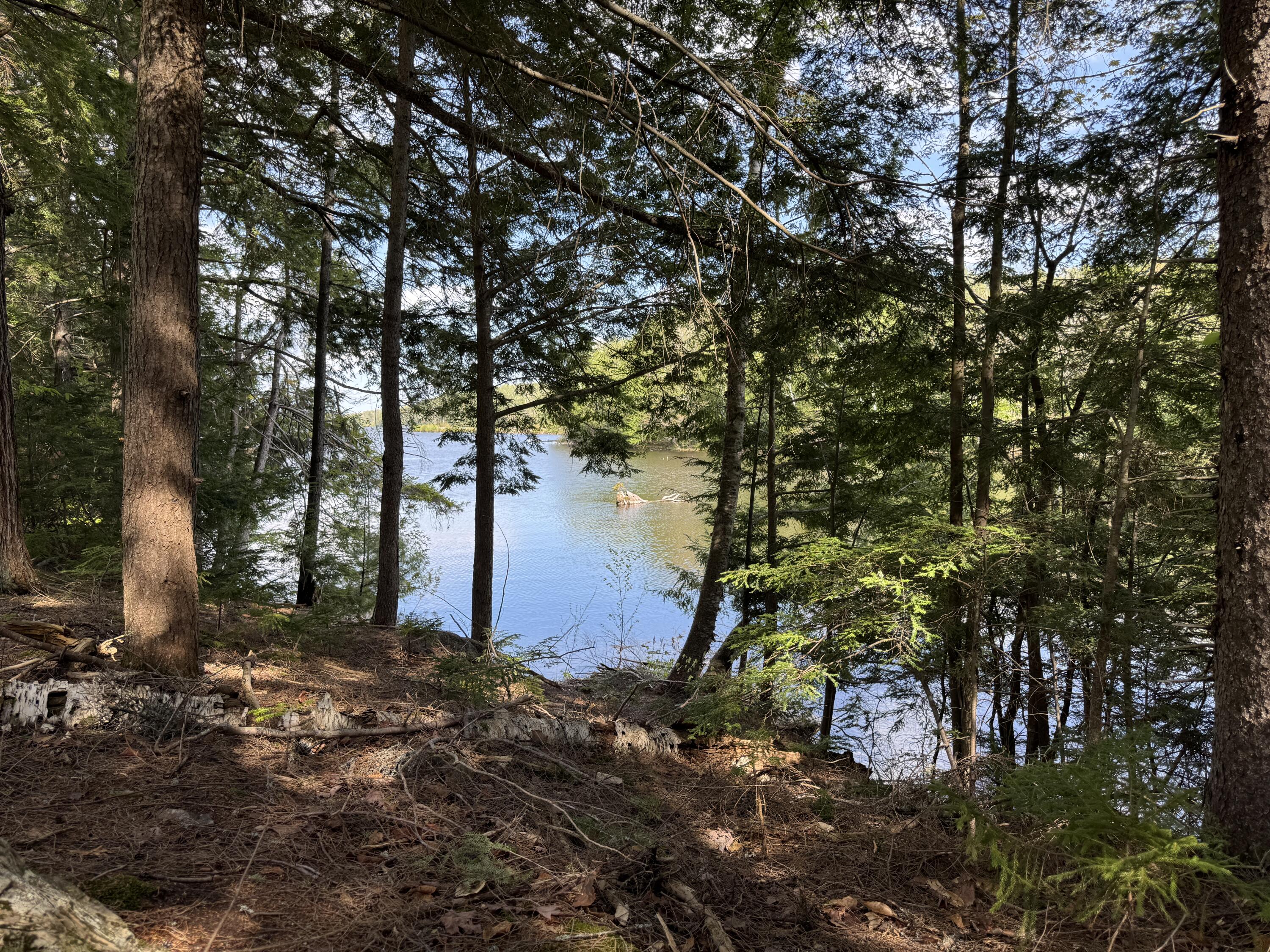 0 Elbow Lake Road Millinocket, ME 04462 - Photo 19 of 33 IMG_0408