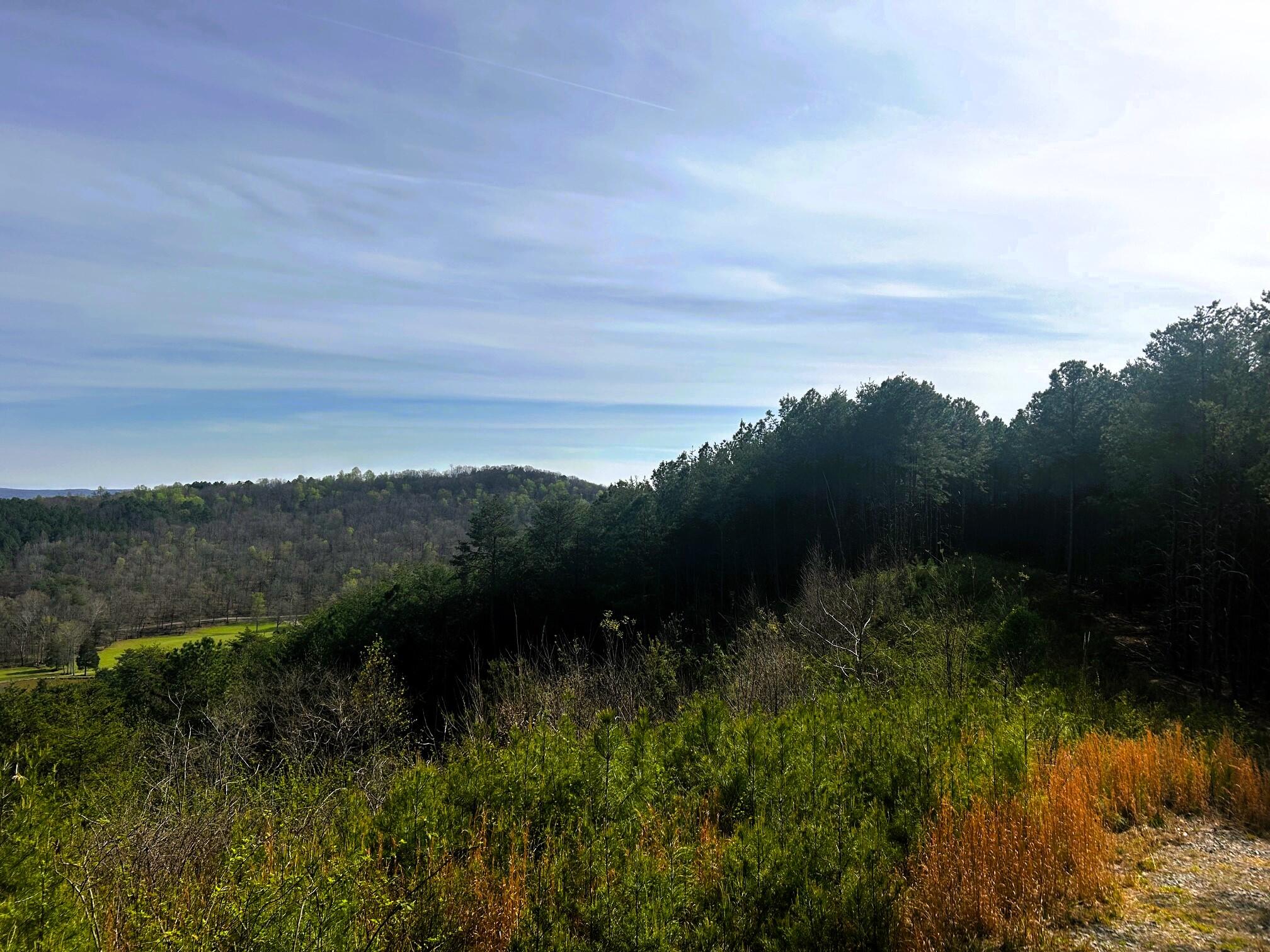 7 Southwest Owl Hollow Road McDonald, TN 37353 - Photo 1 of 32 owl 7 top overview to Banther