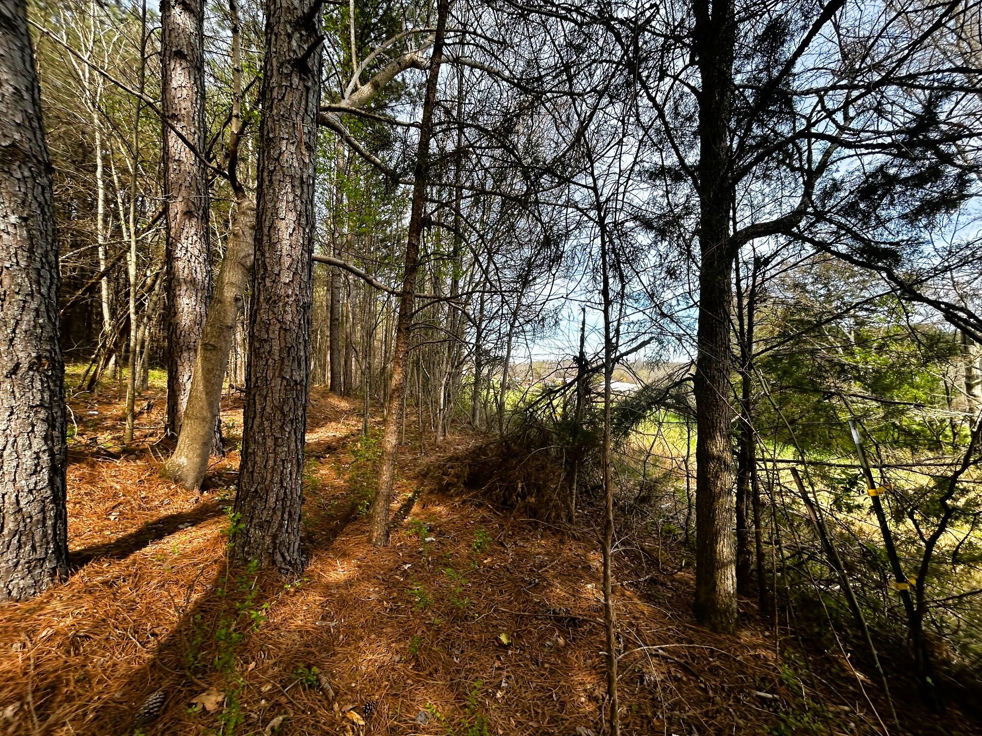 7 Southwest Owl Hollow Road McDonald, TN 37353 - Photo 17 of 32 owl 7 backline 2