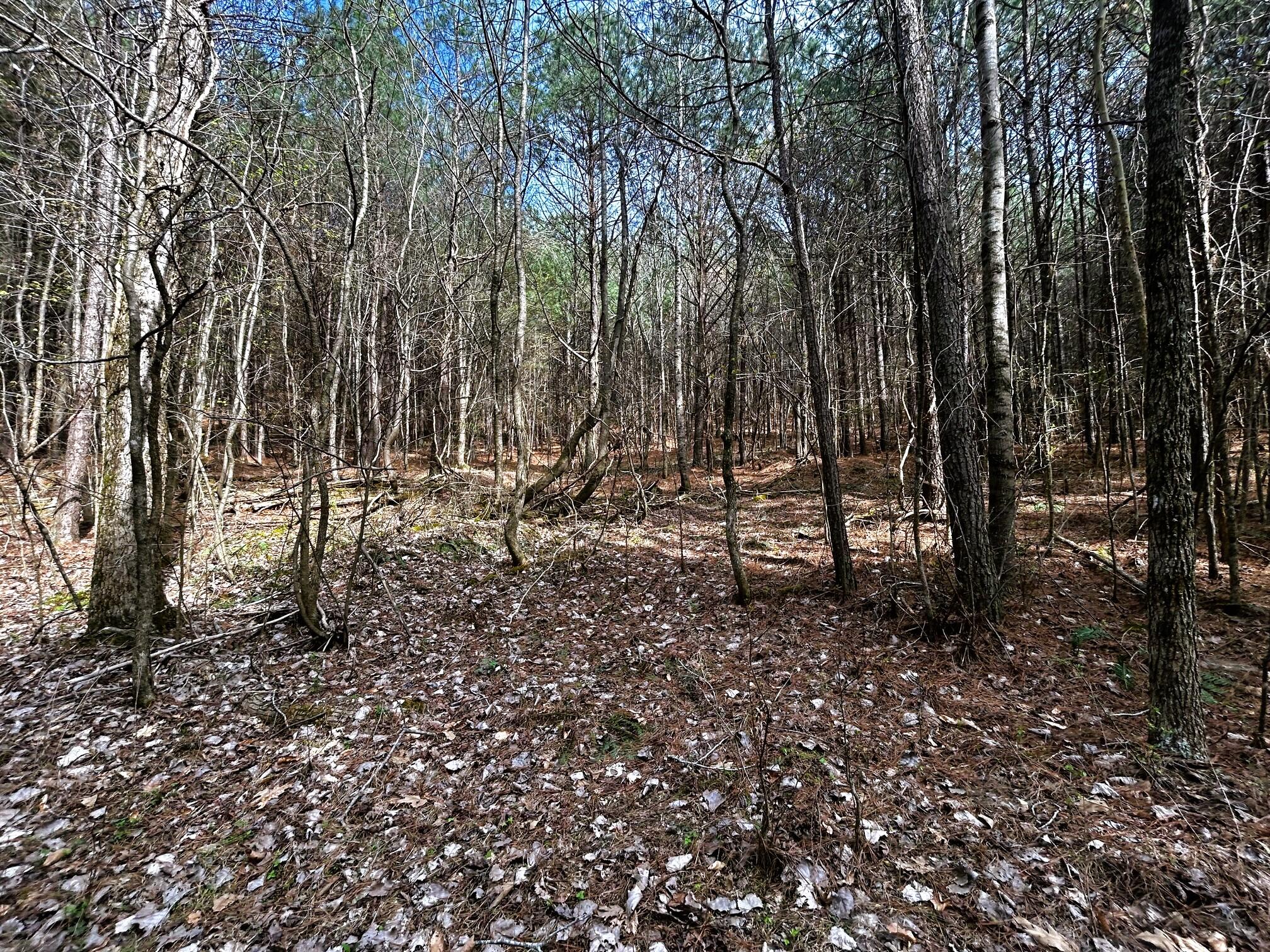 7 Southwest Owl Hollow Road McDonald, TN 37353 - Photo 21 of 32 owl 7 9
