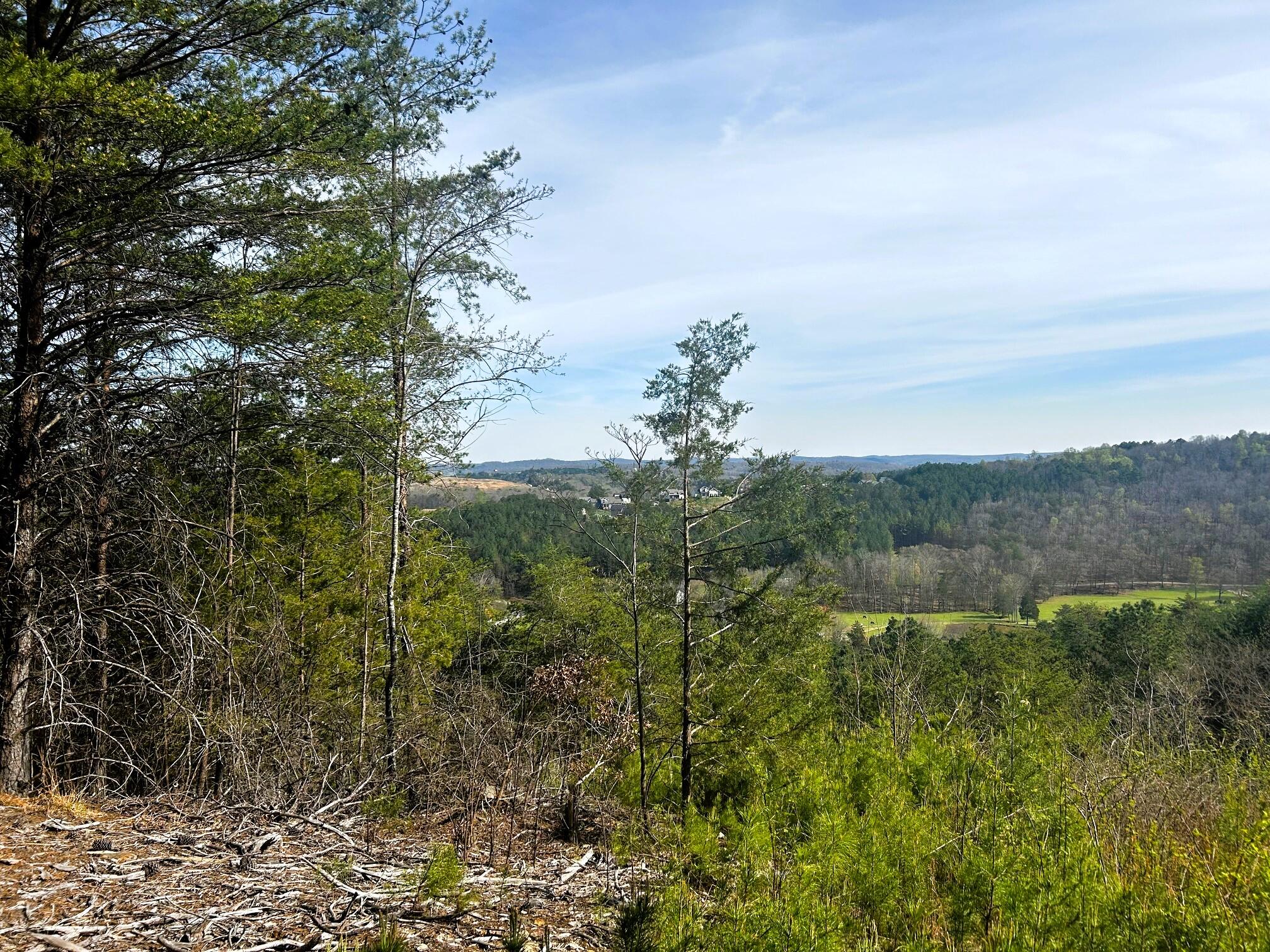 7 Southwest Owl Hollow Road McDonald, TN 37353 - Photo 29 of 32 owl 6 n 7 views topside