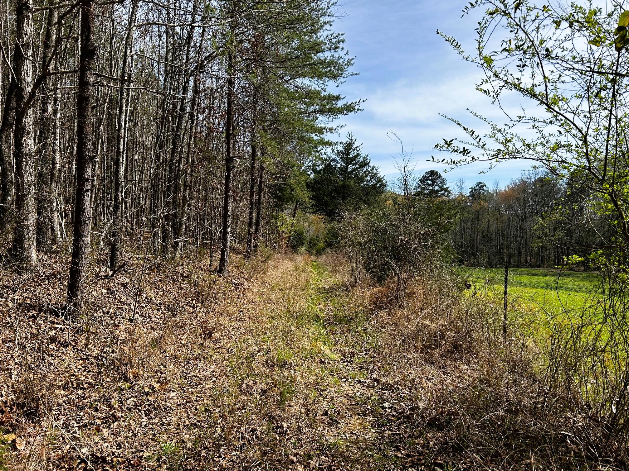 7 Southwest Owl Hollow Road McDonald, TN 37353 - Photo 10 of 32 owl 7 13