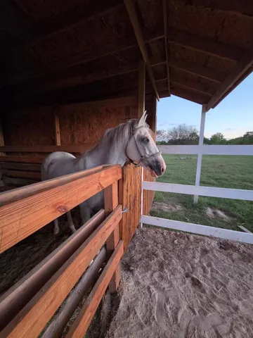 $3,200 | 8118 Hamilton Road, Brookshire, TX 77423