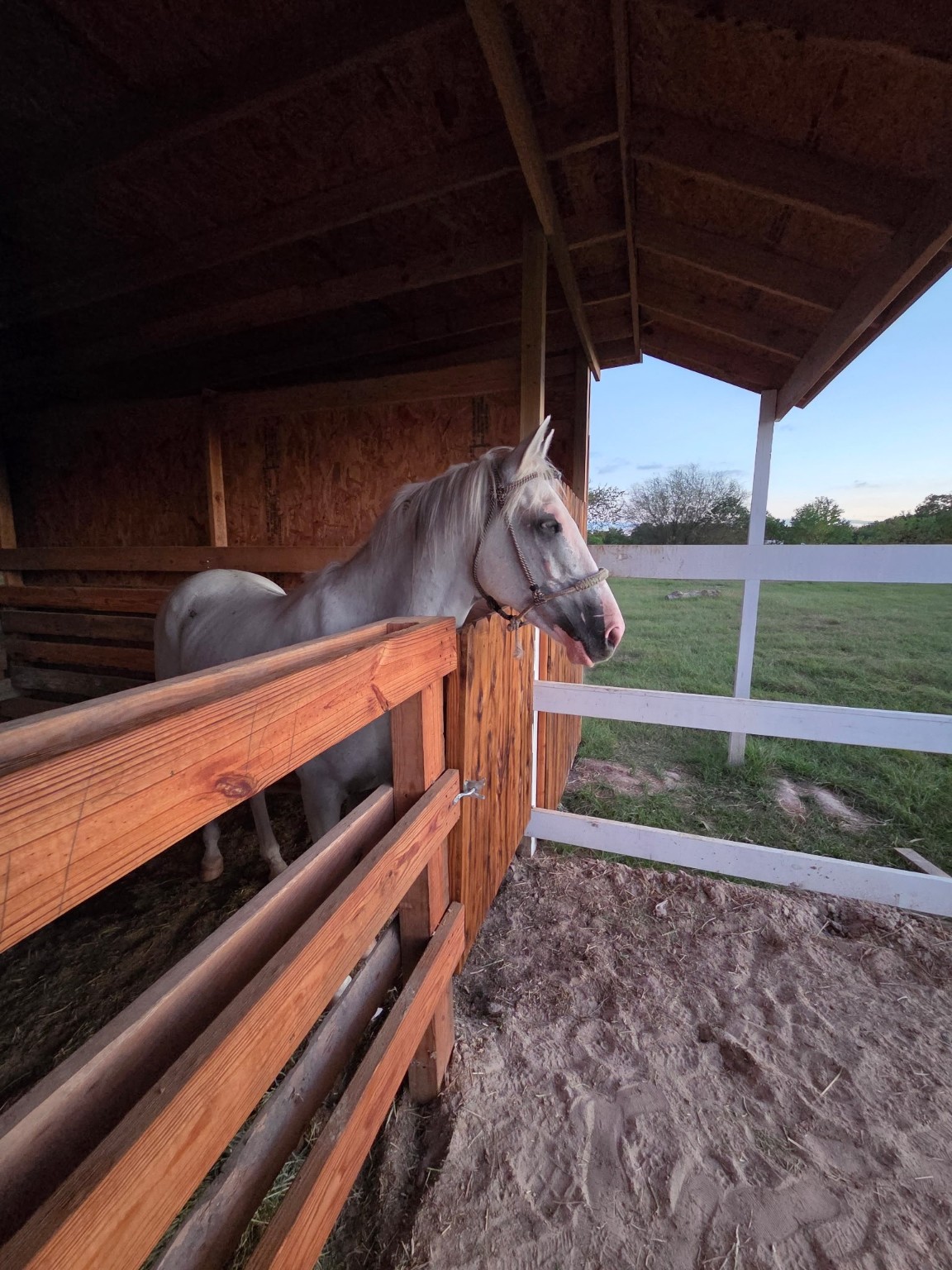8118 Hamilton Road Brookshire, TX 77423 - Photo 11 of 14