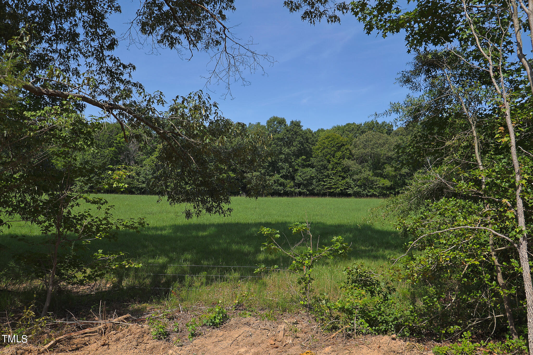 9550 Meredith Drive Rougemont, NC 27572 - Photo 29 of 32 a view of a garden with a lake