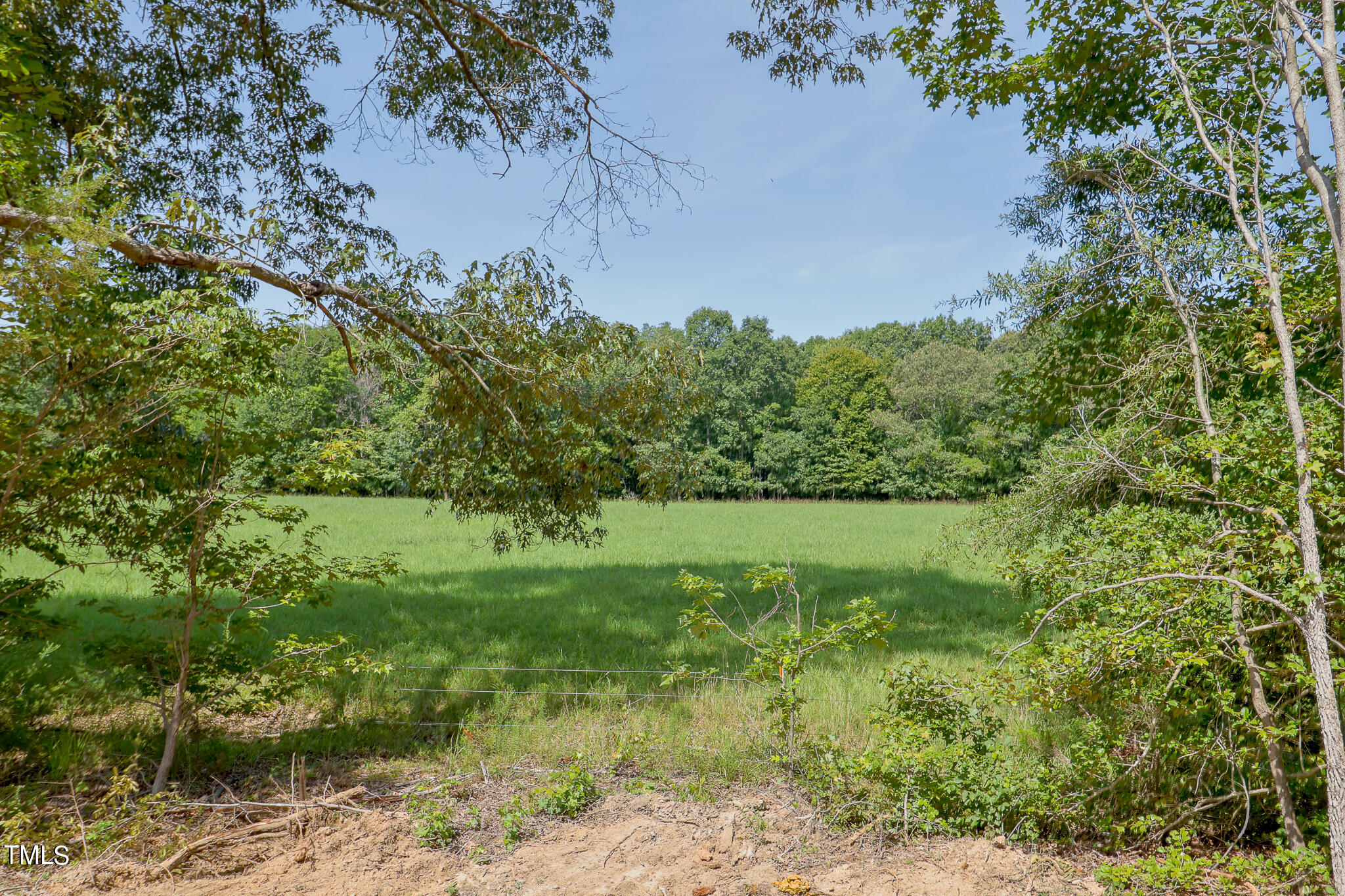 9550 Meredith Drive Rougemont, NC 27572 - Photo 30 of 32 a view of a garden with a tree