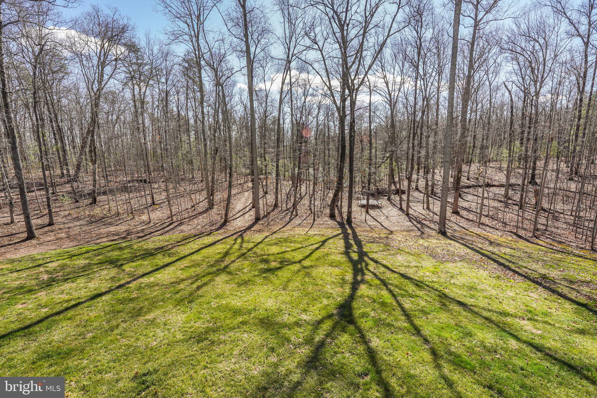 11267 Alum Springs Road Culpeper, VA 22701 - Photo 51 of 63
