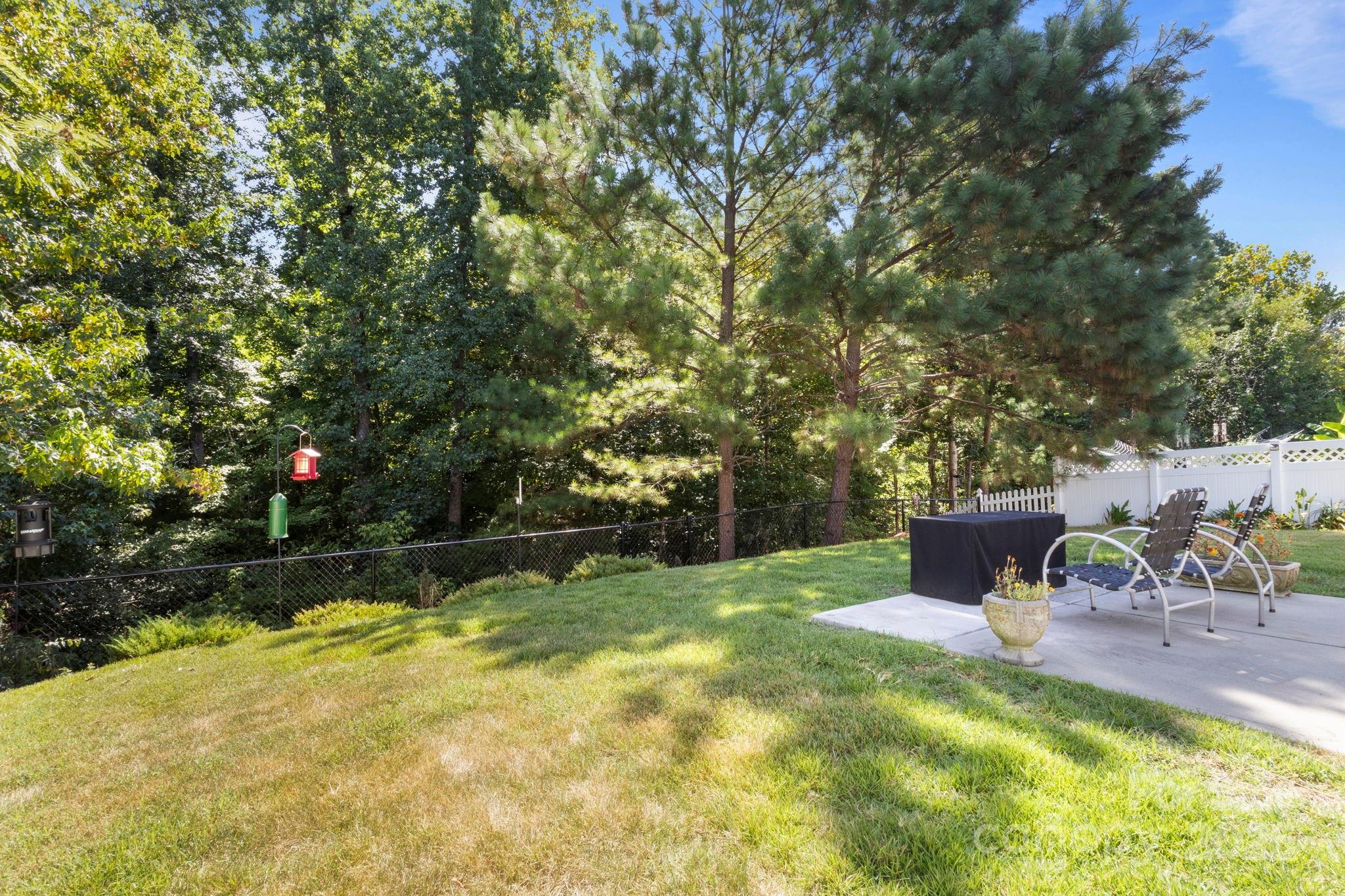 15709 Kiser Corner Lane Davidson, NC 28036 - Photo 38 of 42 a view of a backyard with tree