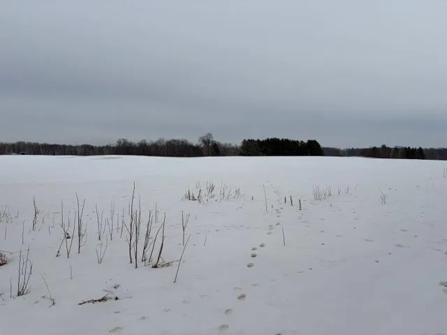 $350,000 | 20-xx Quail Street, Mora, MN 55051