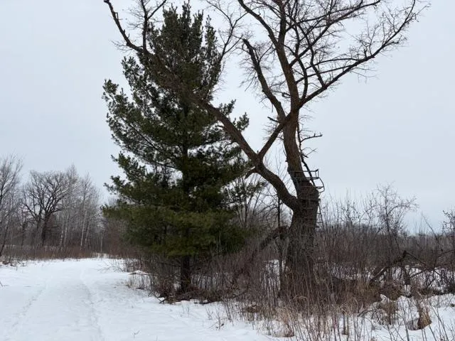 $350,000 | 20-xx Quail Street, Mora, MN 55051