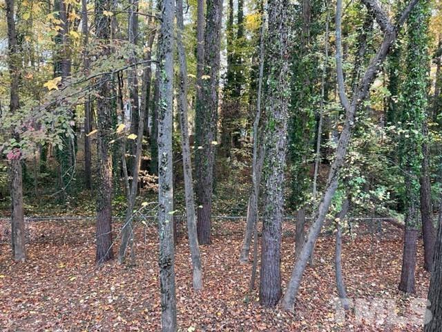 3600 Star Trek Court Raleigh, NC 27604 - Photo 7 of 25 a view of a forest