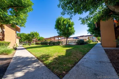 a view of a park with plants and trees
