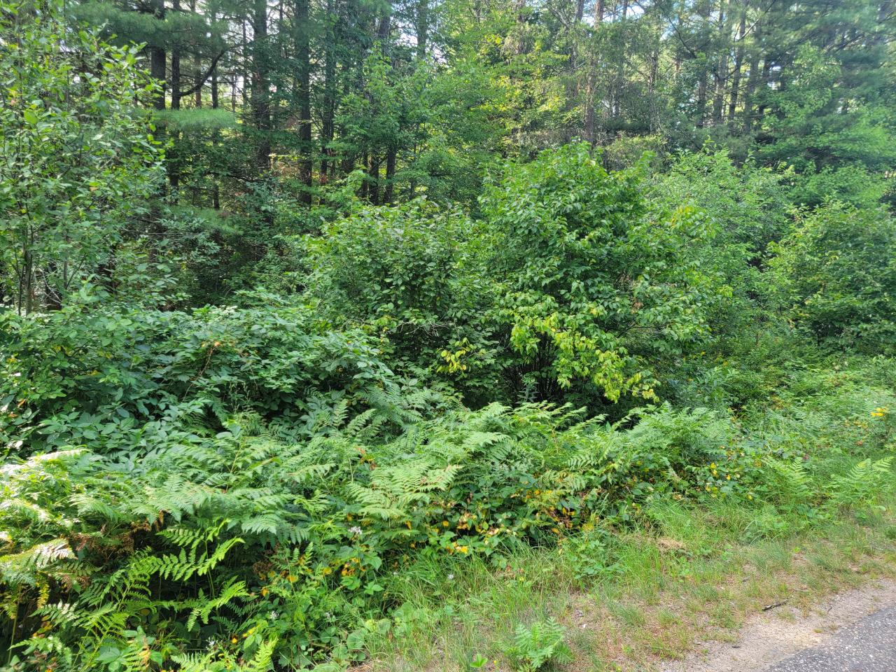 On Loon Lake Road, Unit LOT 8 Eagle River, WI 54521 - Photo 7 of 11 Gallery Image 7