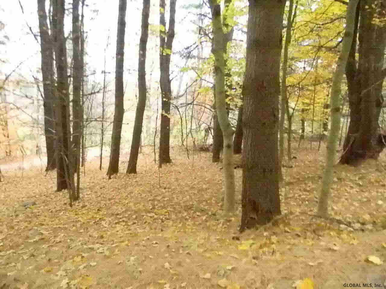 1815 Bay Road Queensbury, NY 12845 - Photo 6 of 12 Photo 6