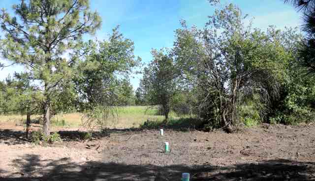 19600 South Spangle Creek Road Spangle, WA 99031 - Photo 2 of 9